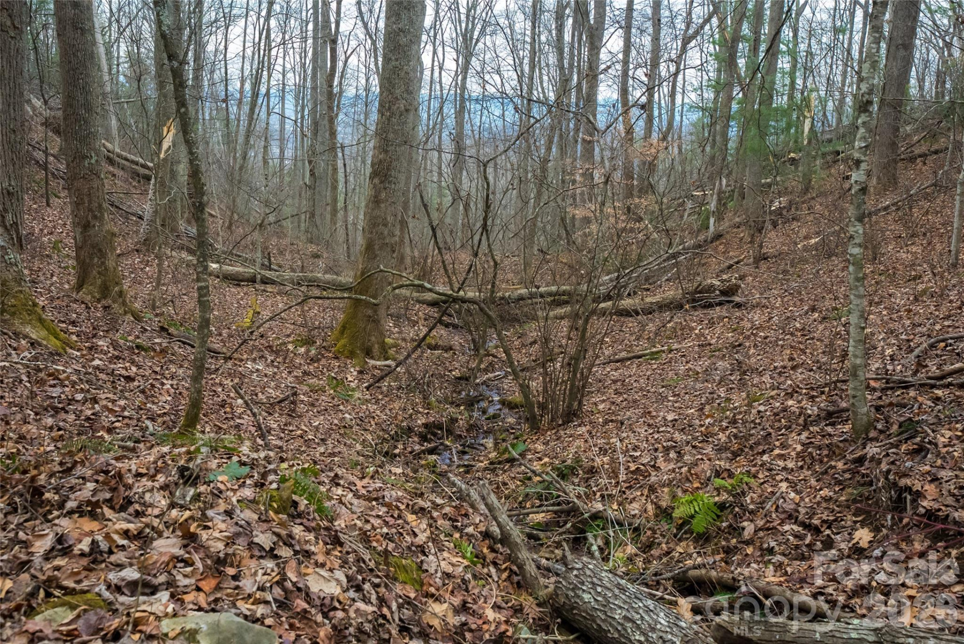 99999 Elk Mountain Scenic Highway #2 - Photo 15