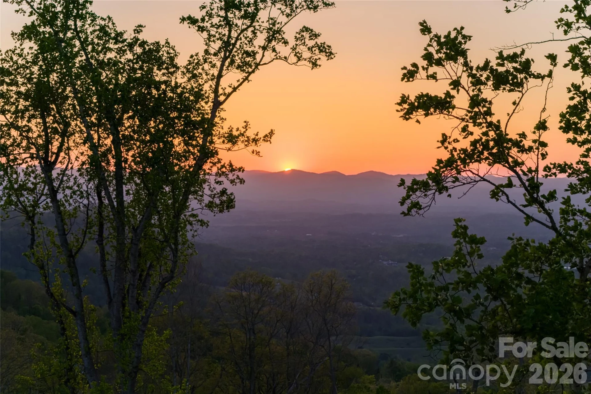 99999 Elk Mountain Scenic Highway #2 - Photo 27