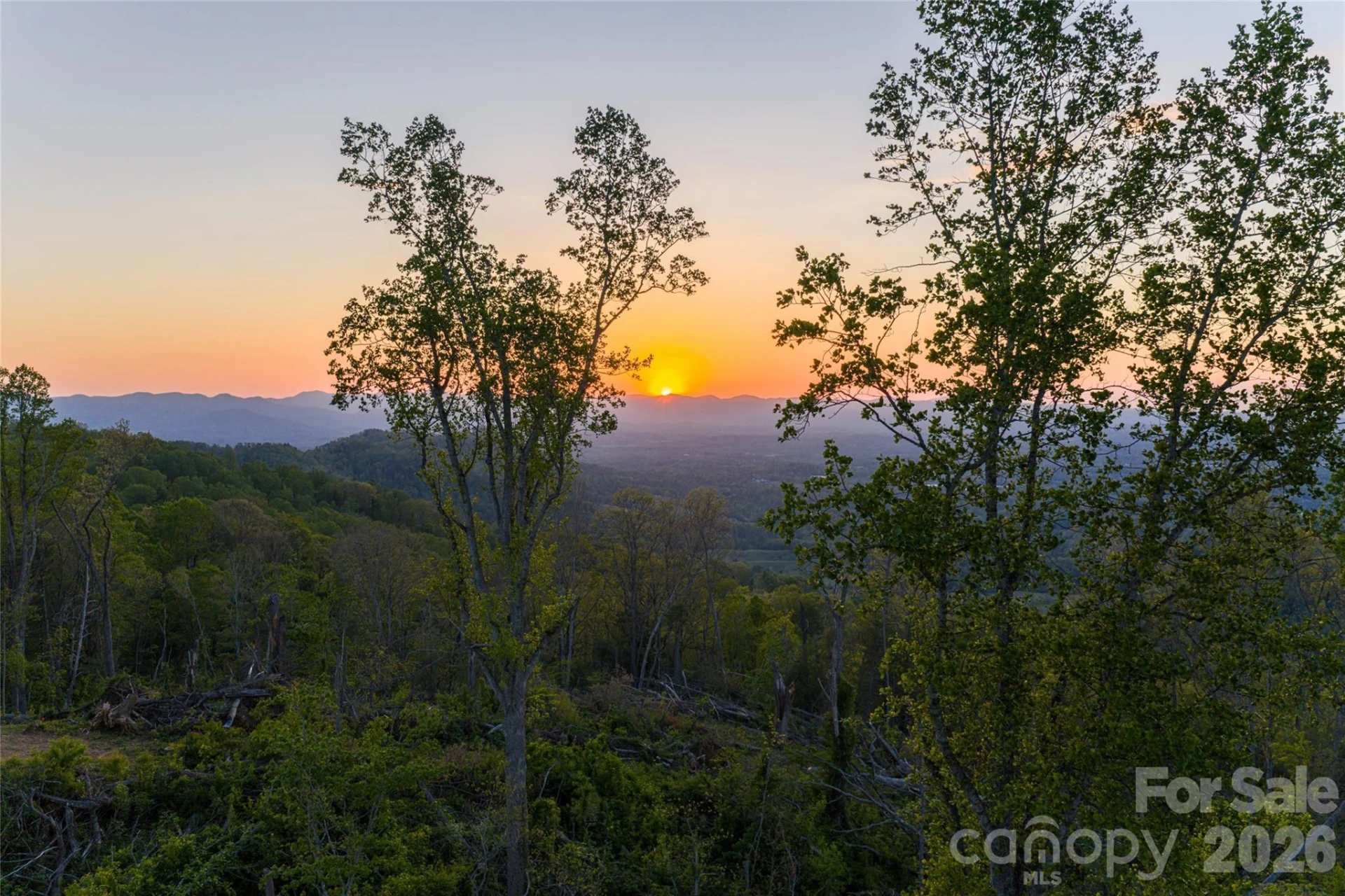 99999 Elk Mountain Scenic Highway #2 - Photo 29