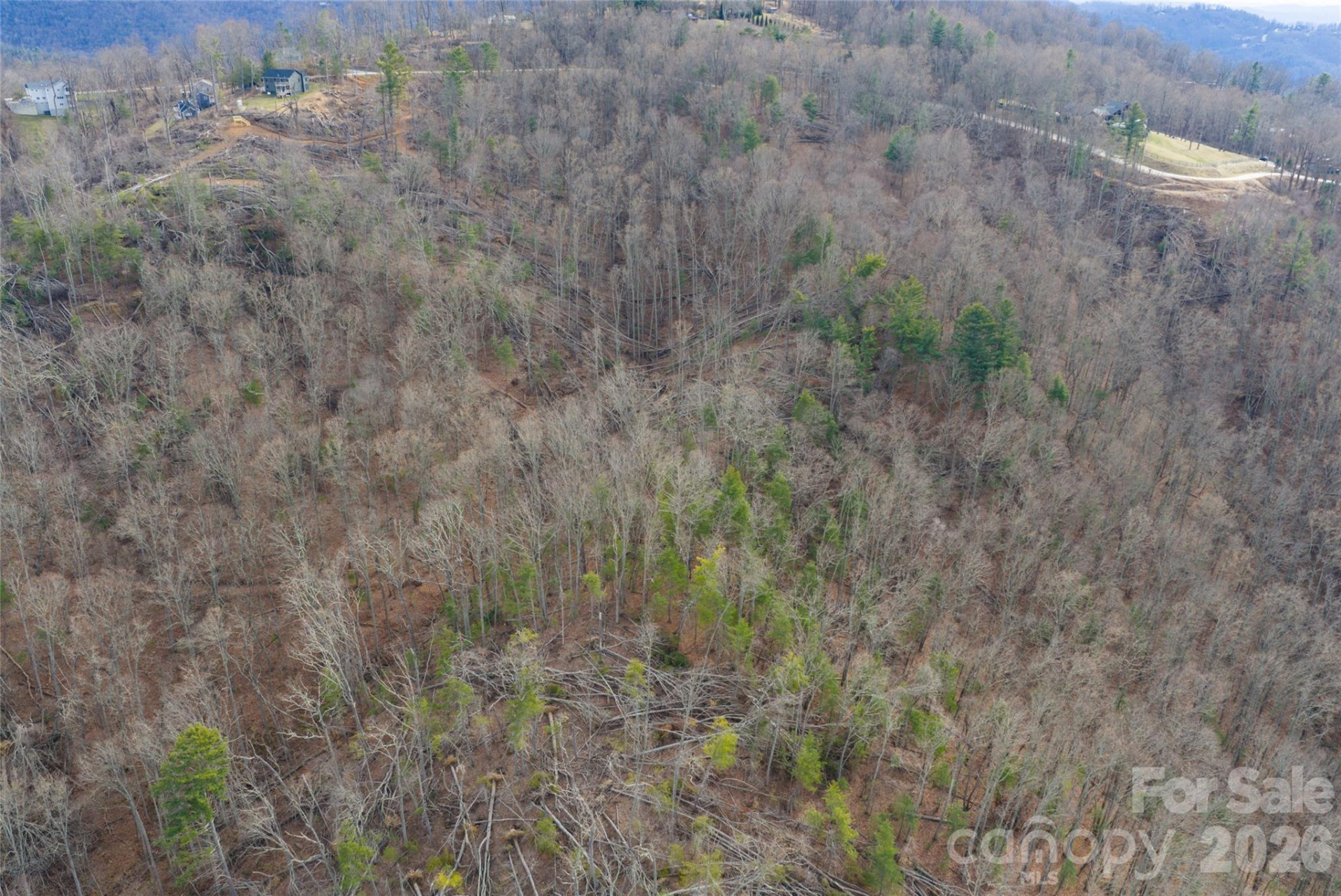 99999 Elk Mountain Scenic Highway #2 - Photo 18