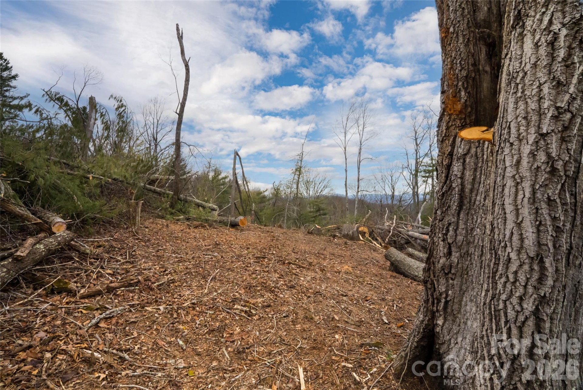 99999 Elk Mountain Scenic Highway #2 - Photo 6