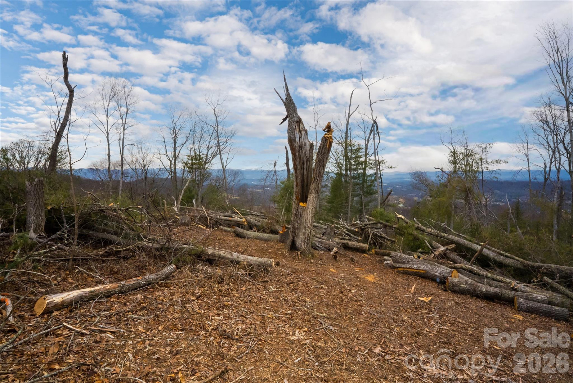 99999 Elk Mountain Scenic Highway #2 - Photo 7