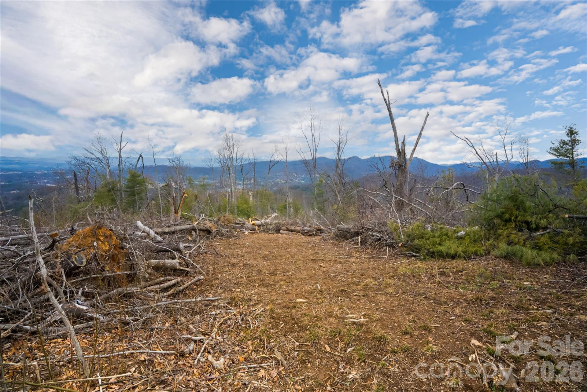 99999 Elk Mountain Scenic Highway #2 - Photo 10