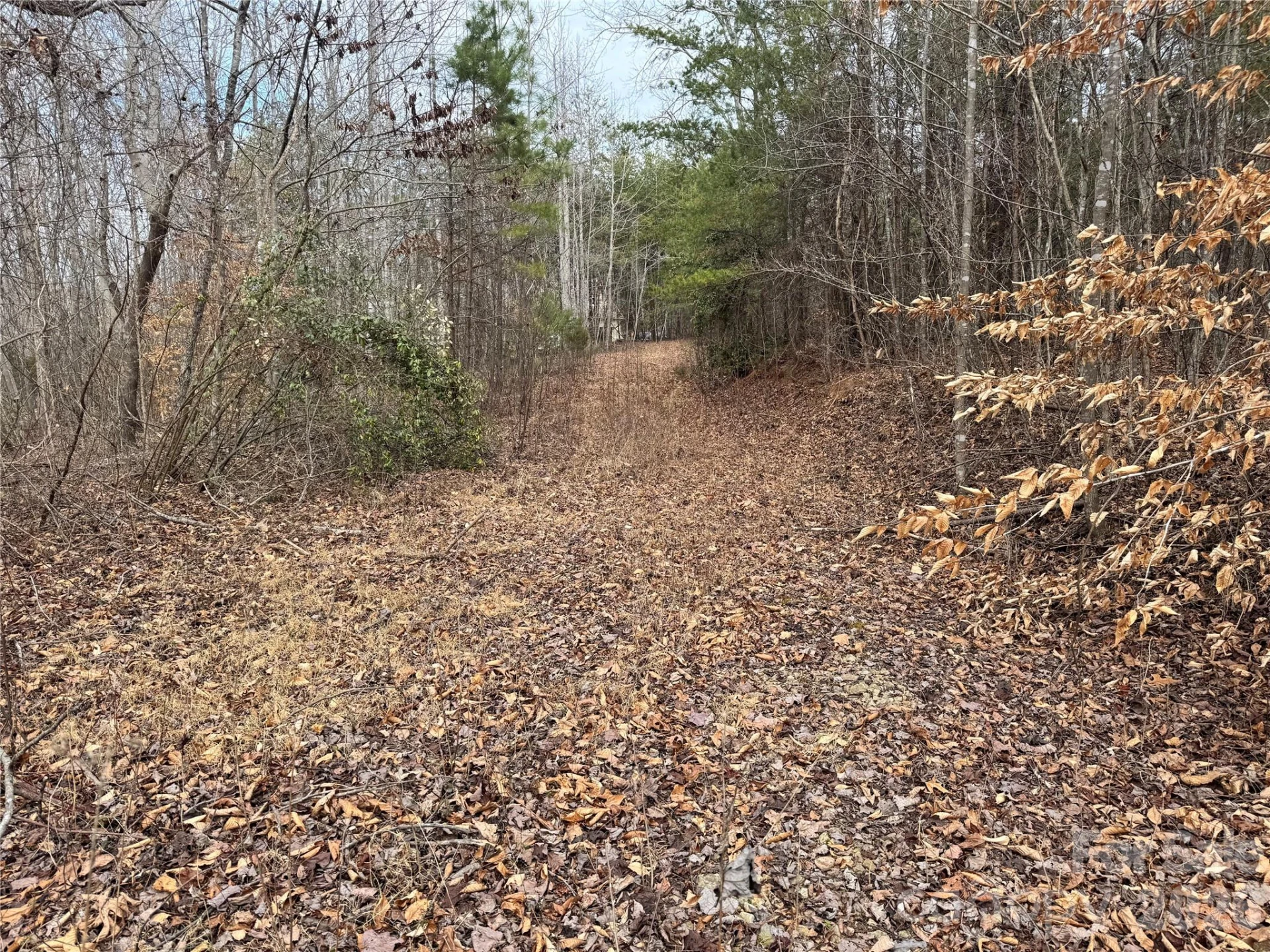 0 Hudlow Road - Photo 3