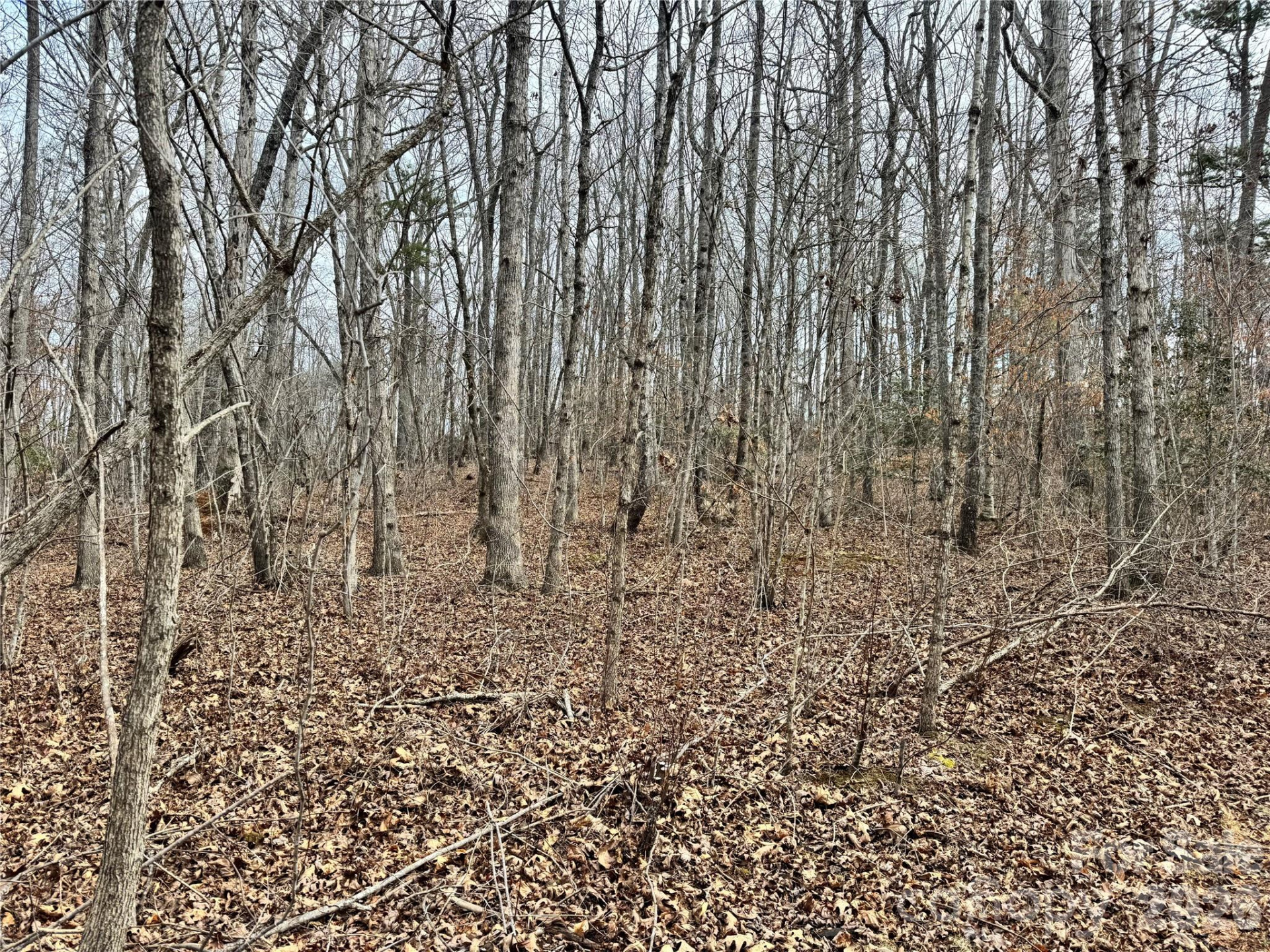 0 Hudlow Road - Photo 5
