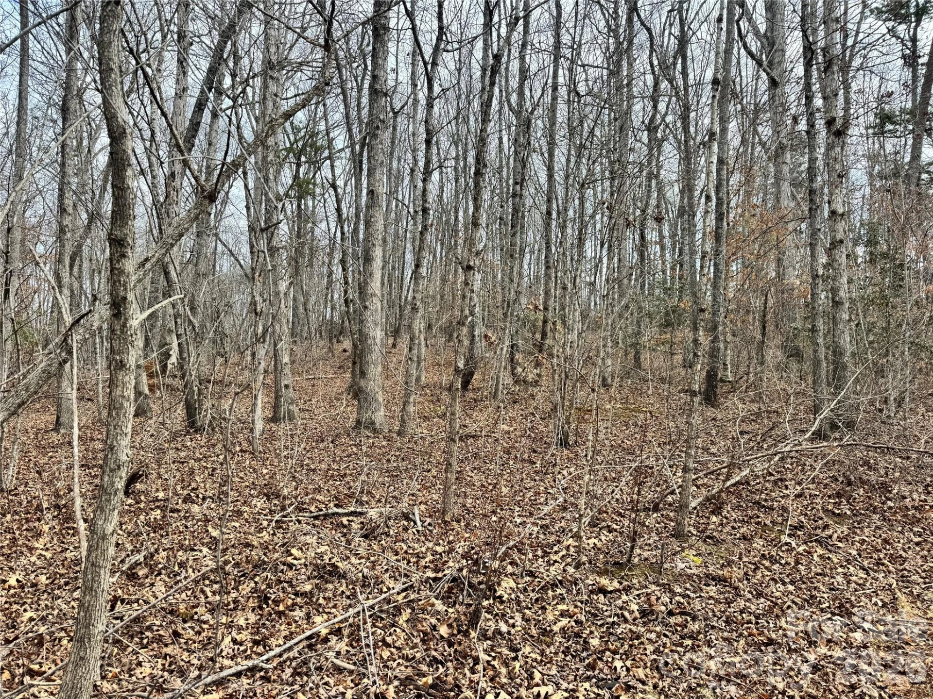 0 Hudlow Road - Photo 5