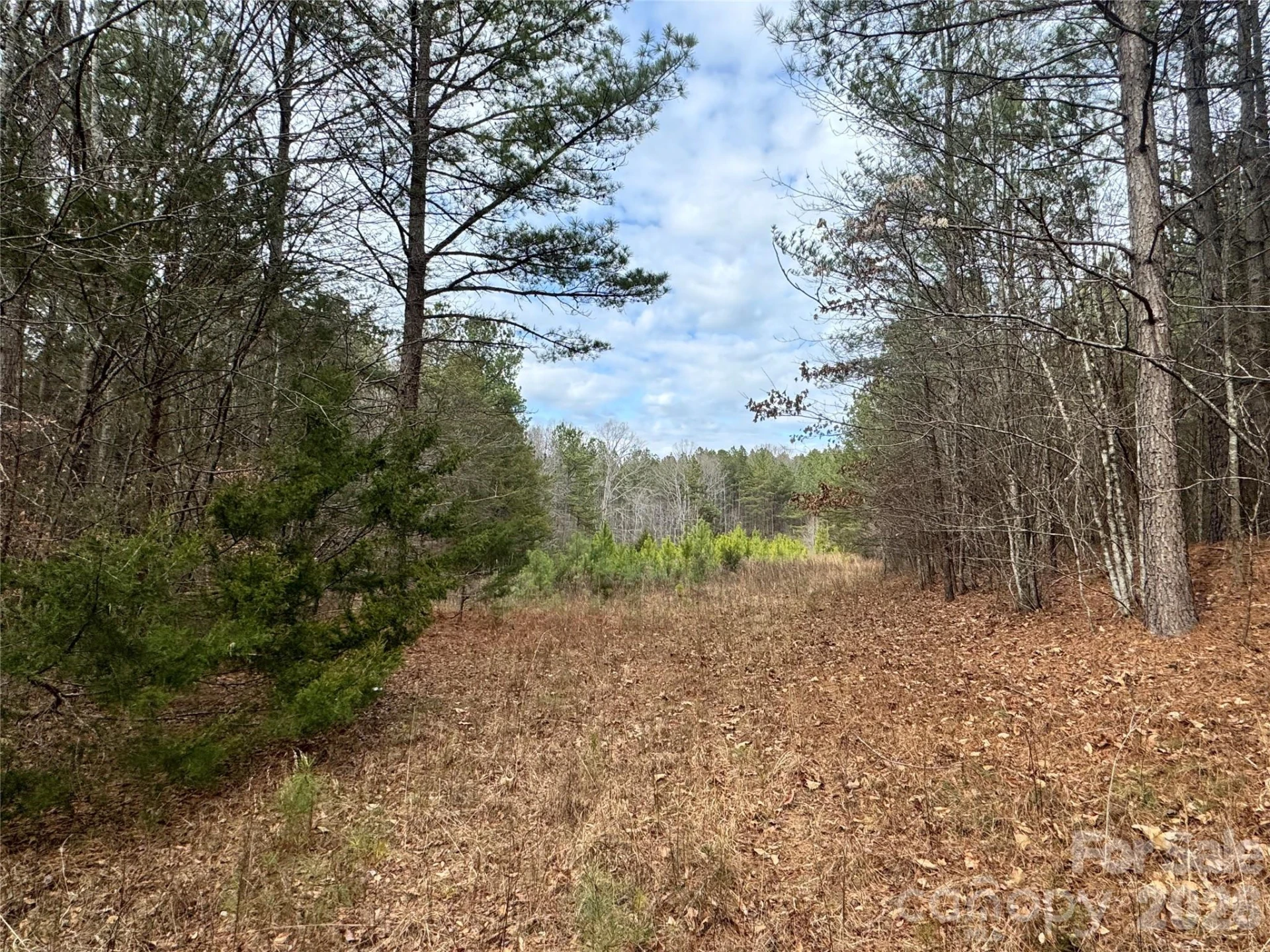 0 Hudlow Road - Photo 6