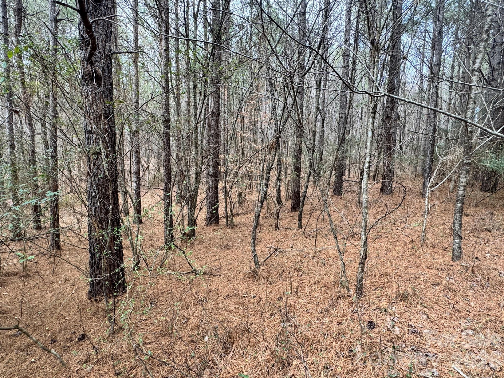 0 Hudlow Road - Photo 7