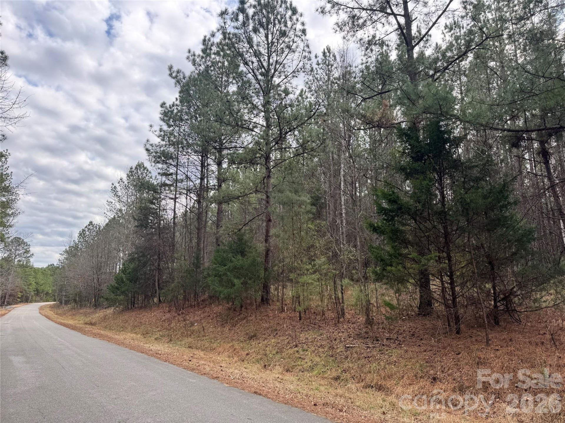 0 Hudlow Road - Photo 8