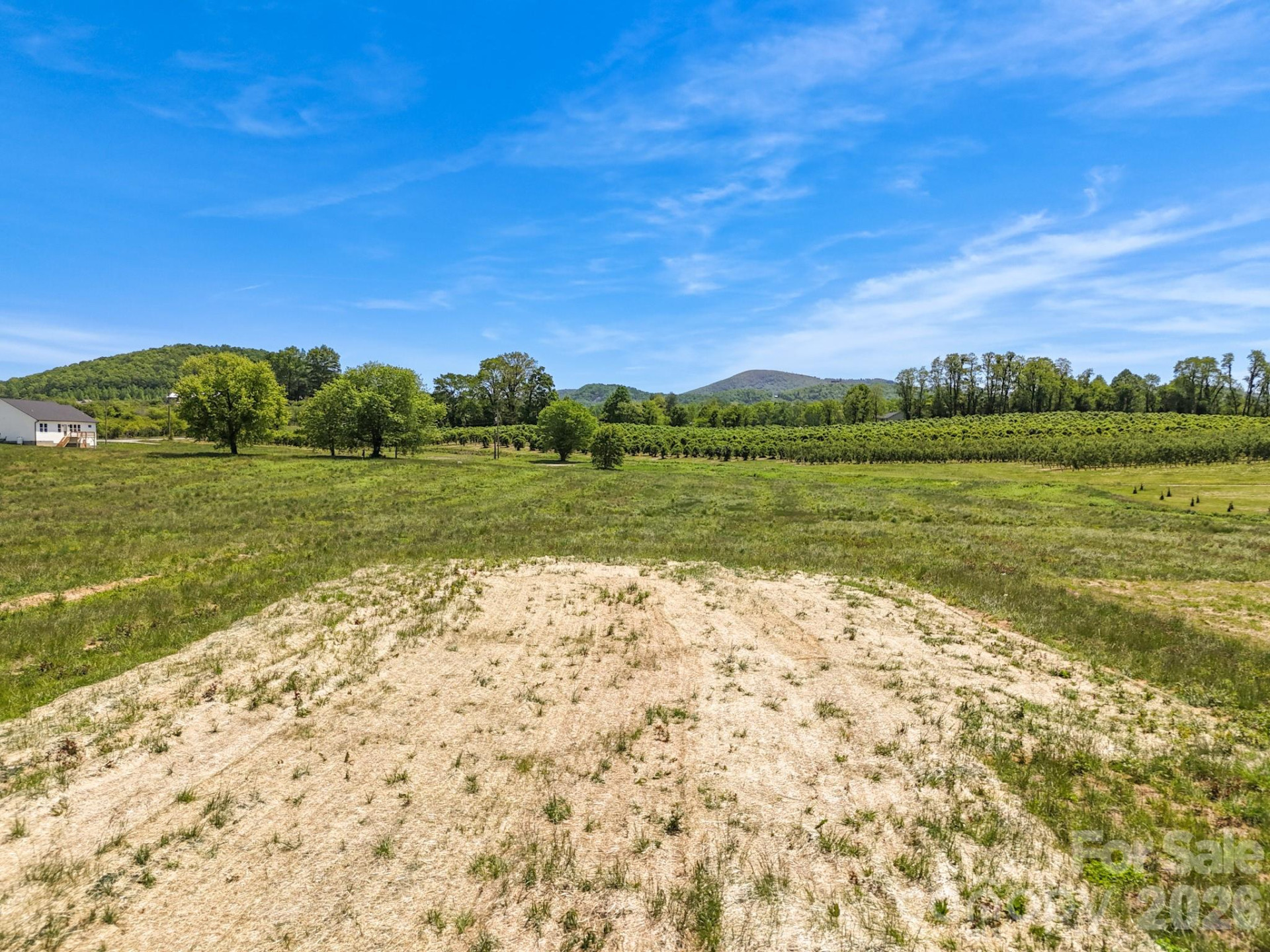 654 Beehive Road - Photo 10