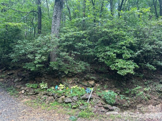 0 Pine Ridge Road, Hendersonville, NC, 28792