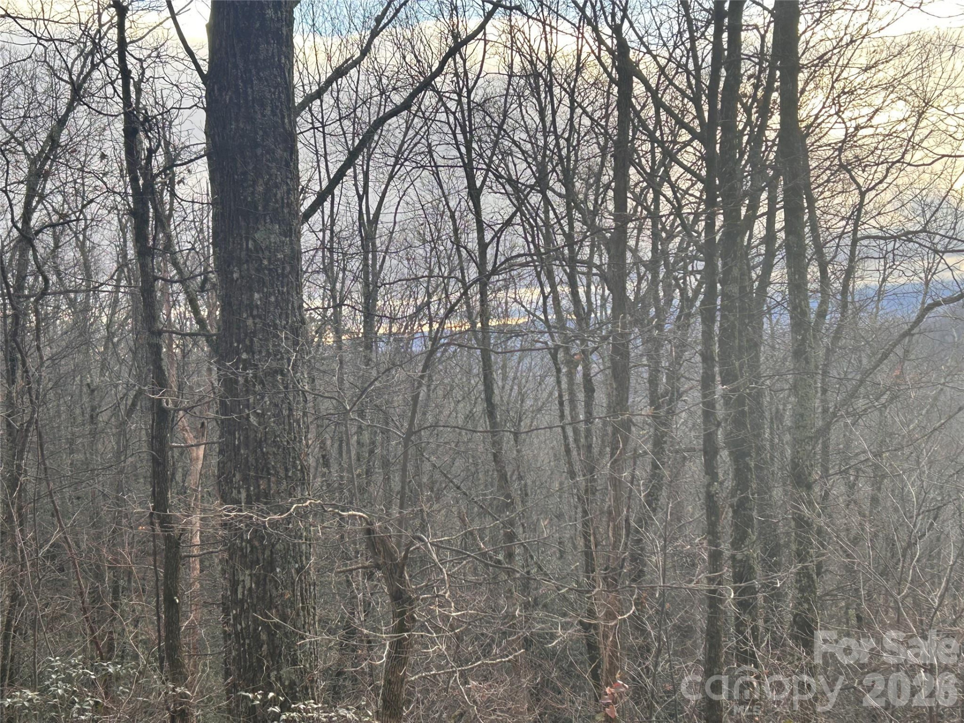 0 Pine Ridge Road #21 - Photo 11