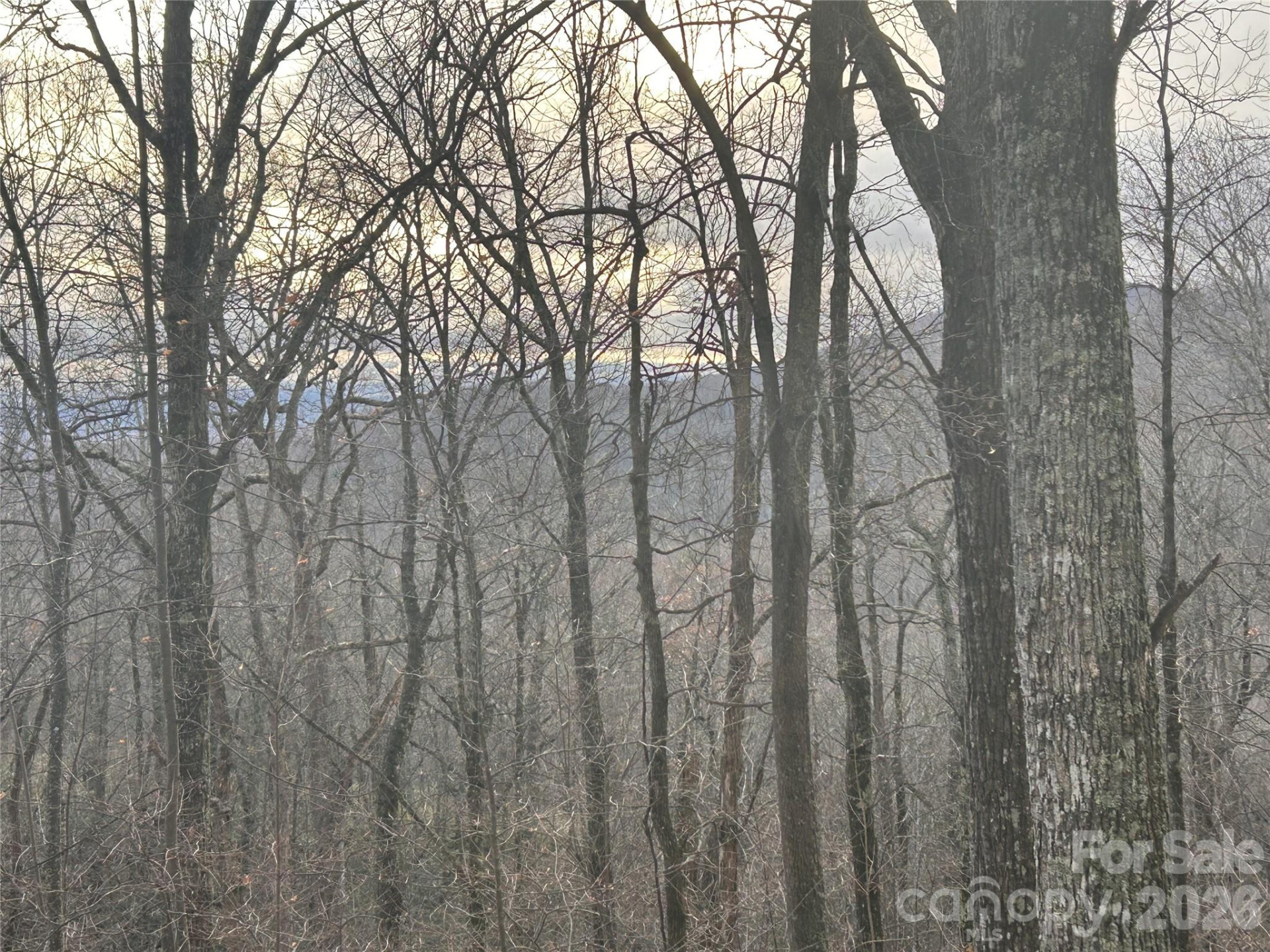 0 Pine Ridge Road #21 - Photo 12