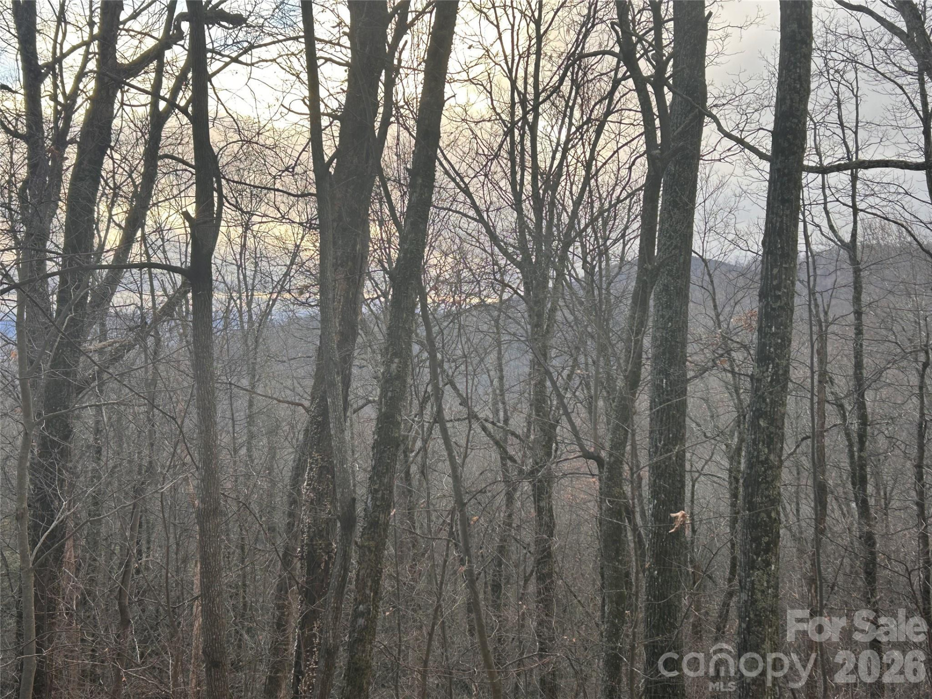 0 Pine Ridge Road #21 - Photo 13