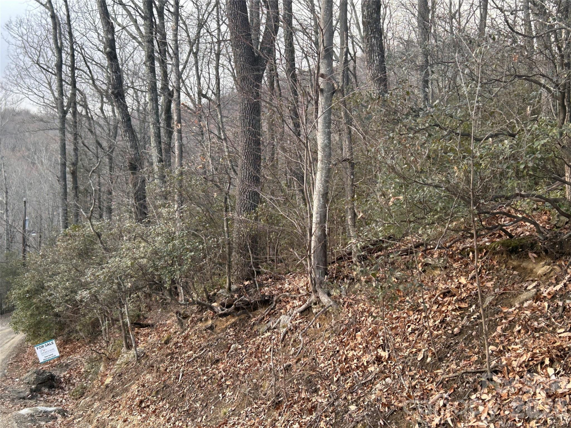 0 Pine Ridge Road #21 - Photo 14