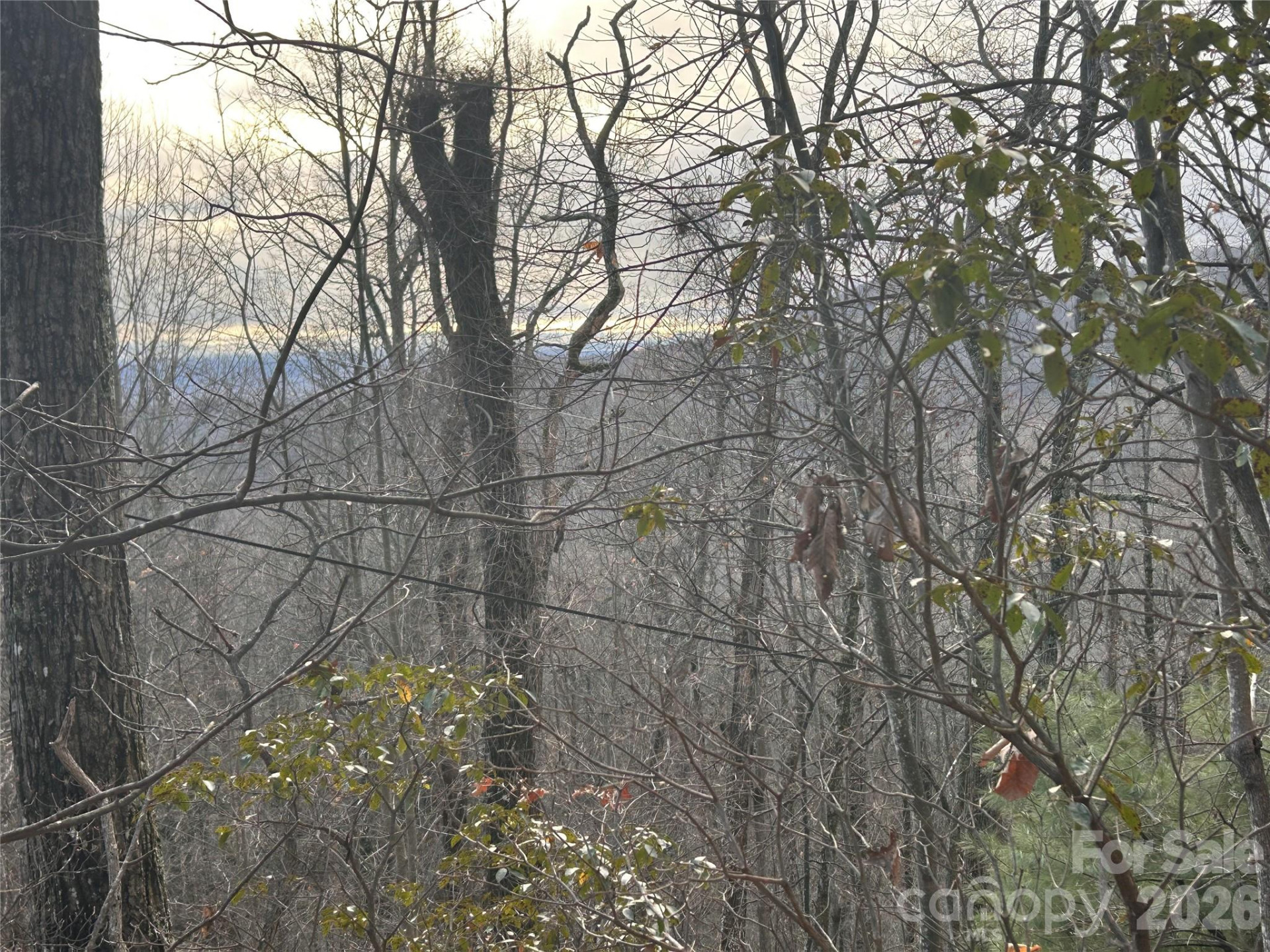 0 Pine Ridge Road #21 - Photo 15