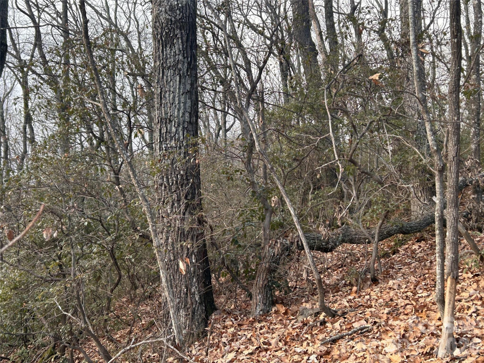 0 Pine Ridge Road #21 - Photo 16