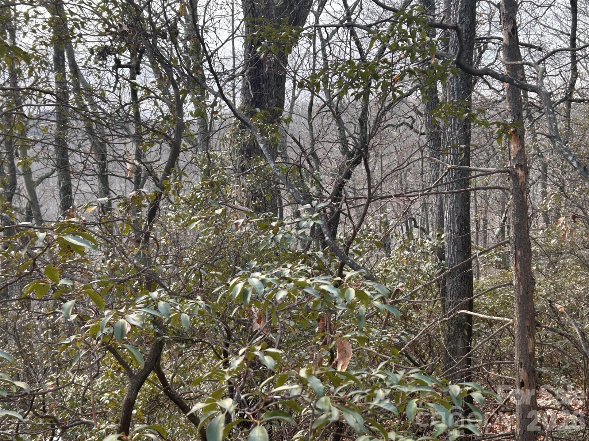 0 Pine Ridge Road #21 - Photo 17