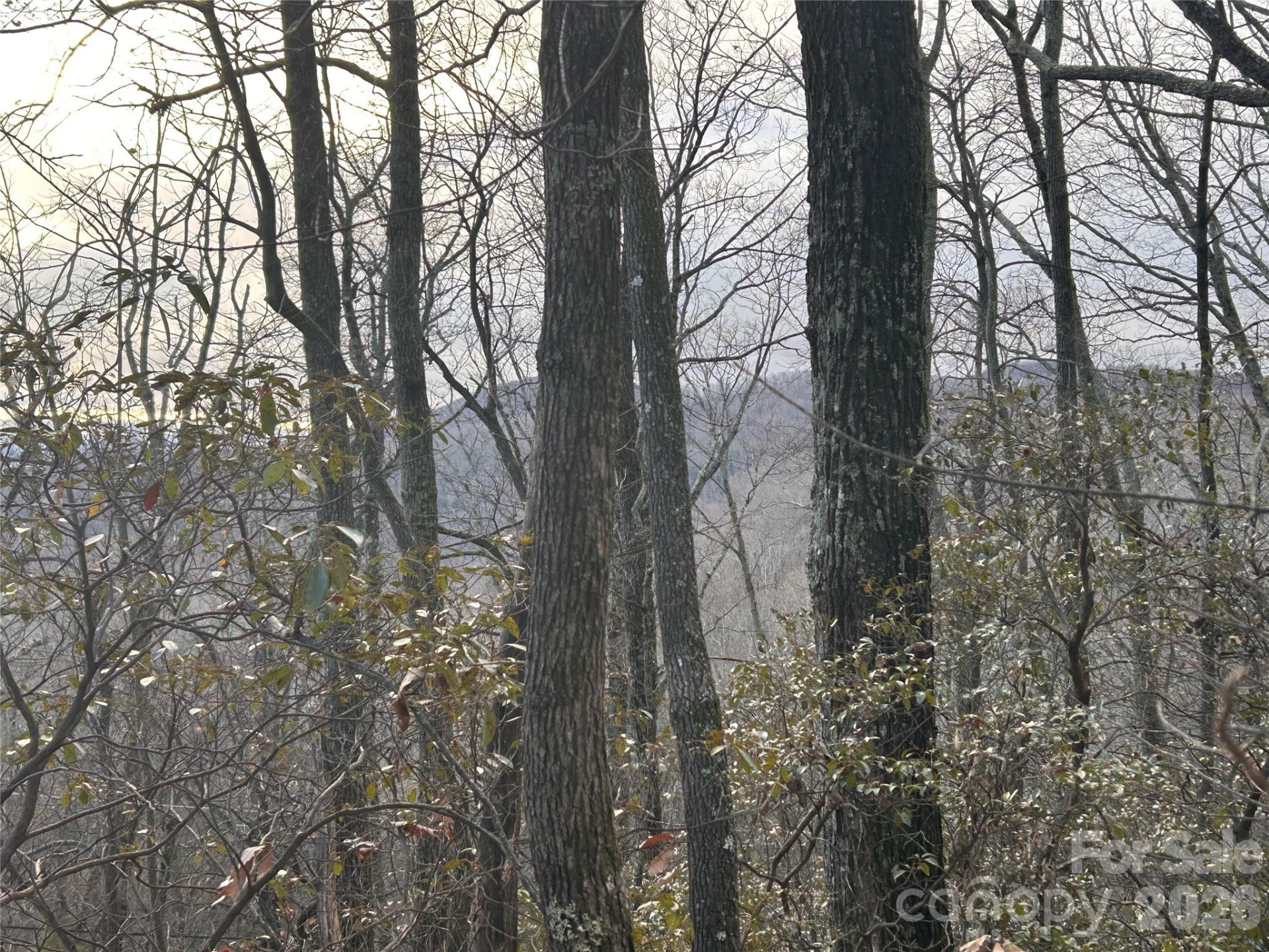 0 Pine Ridge Road #21 - Photo 18