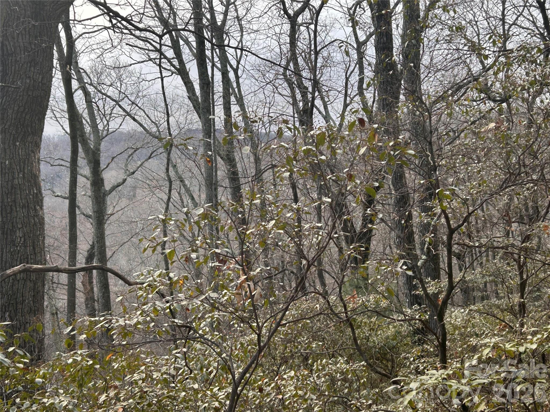 0 Pine Ridge Road #21 - Photo 19