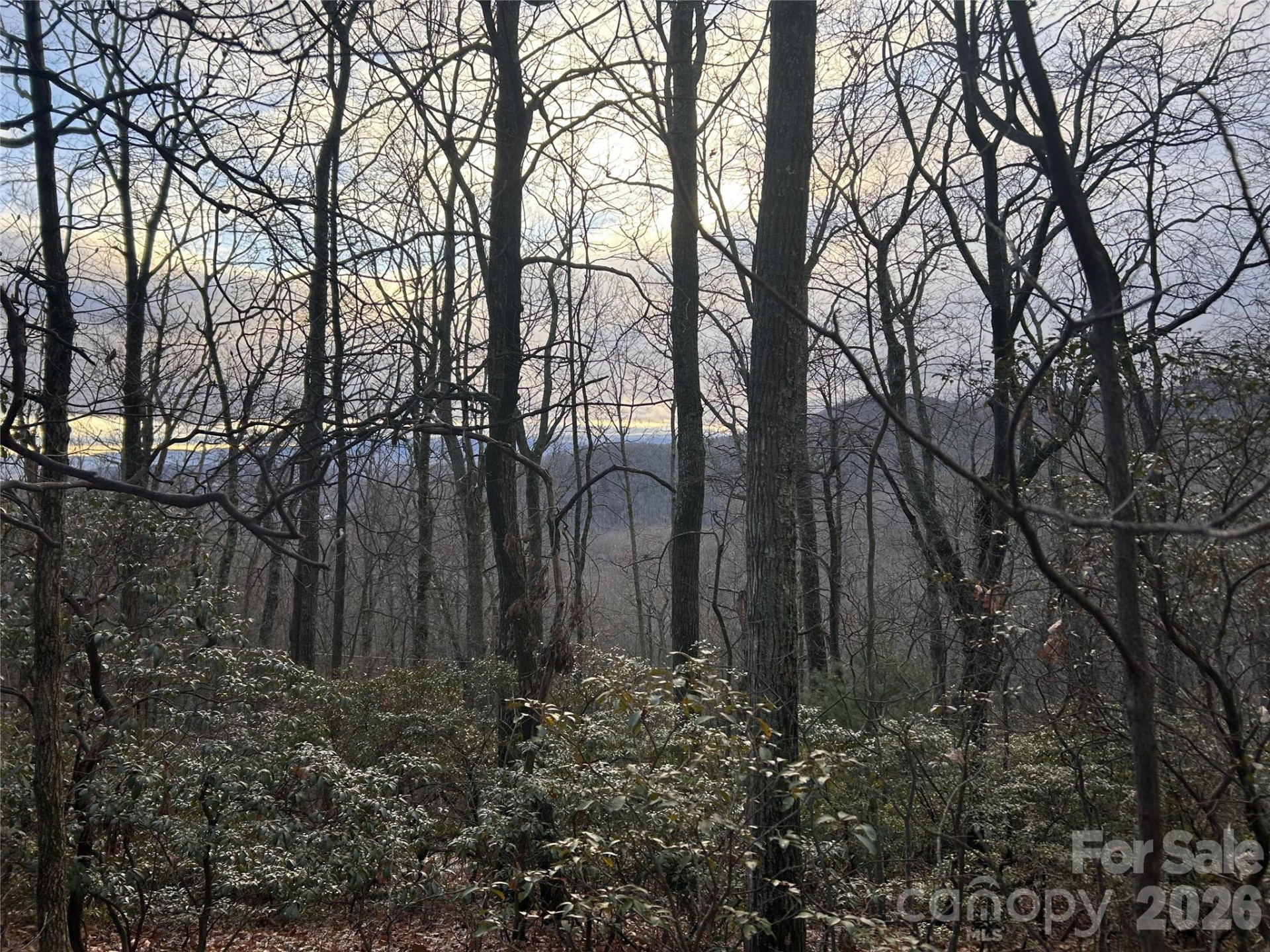 0 Pine Ridge Road #21 - Photo 20