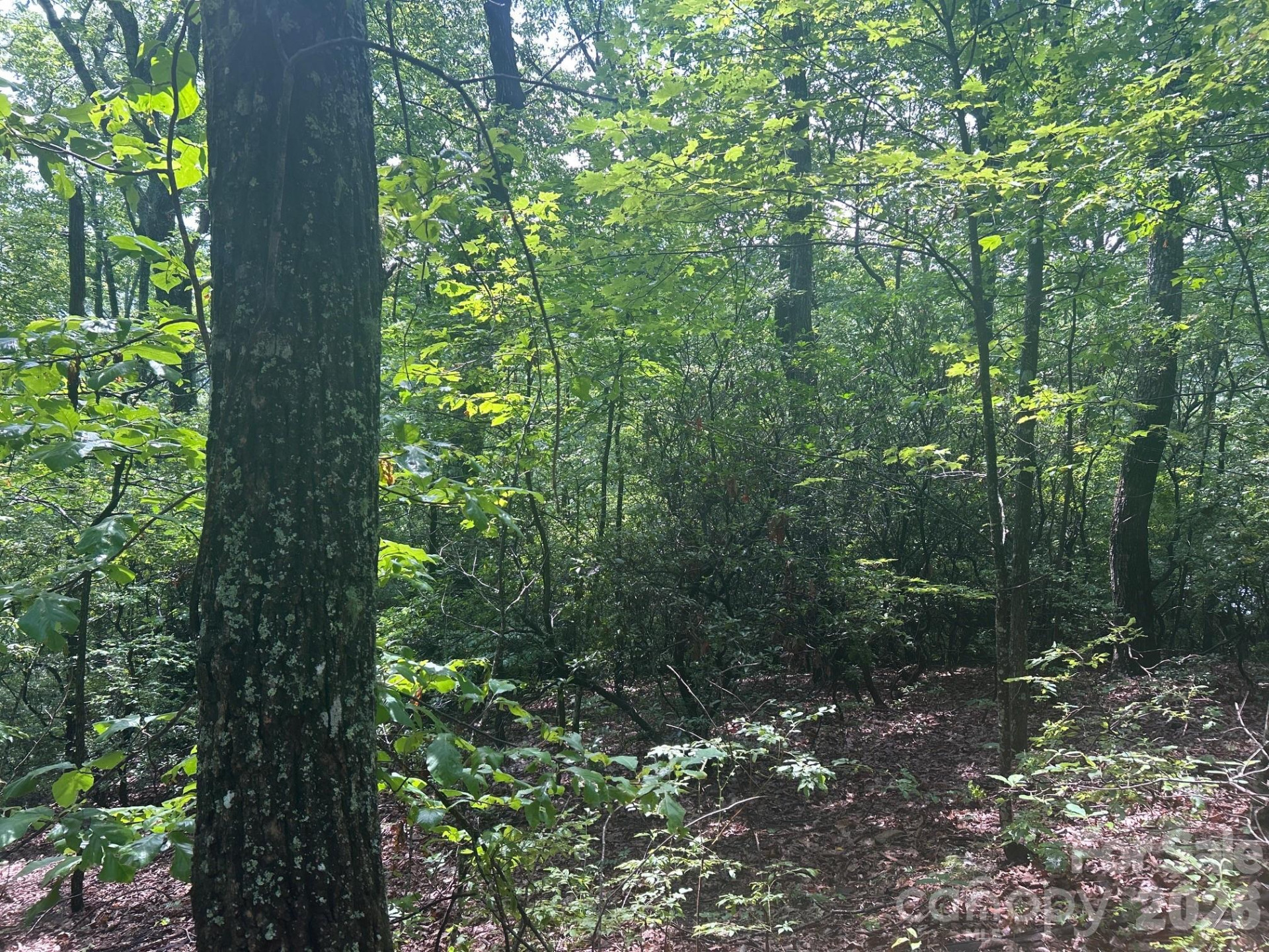 0 Pine Ridge Road #21 - Photo 3