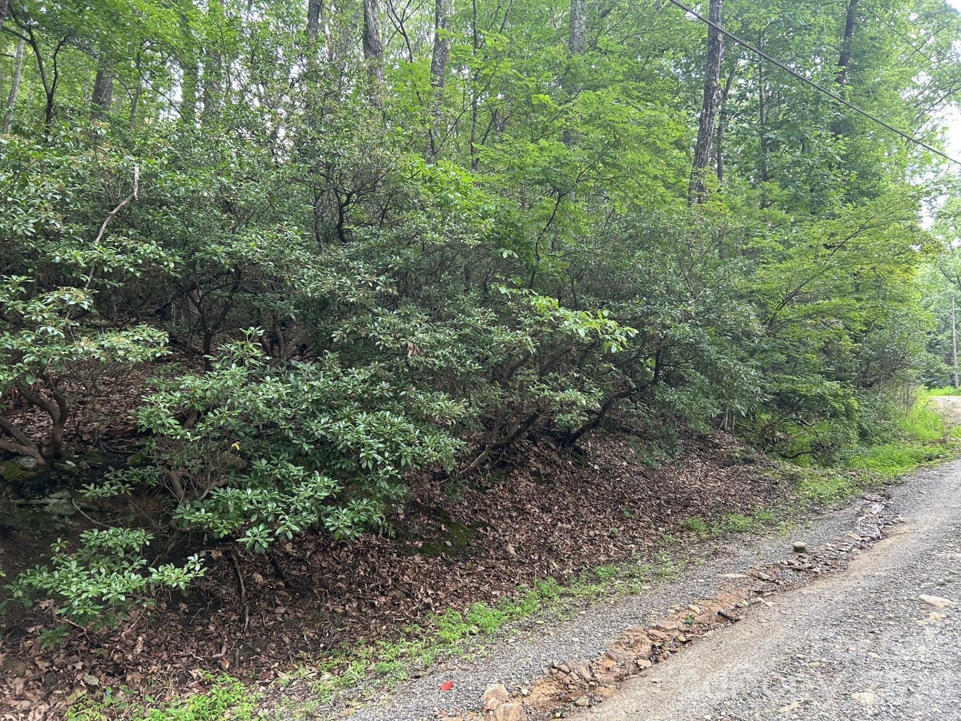 0 Pine Ridge Road #21 - Photo 4