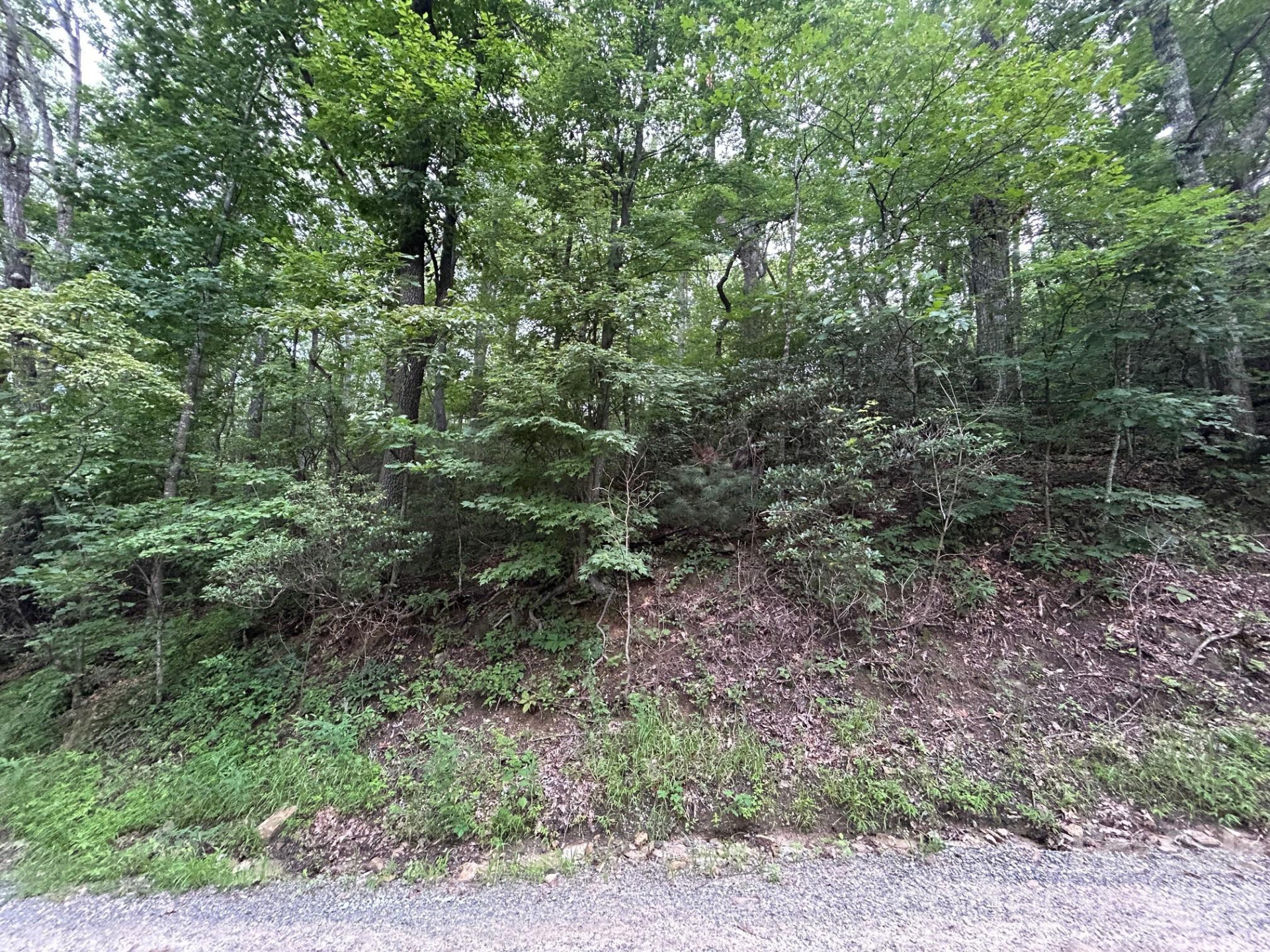 0 Pine Ridge Road #21 - Photo 5