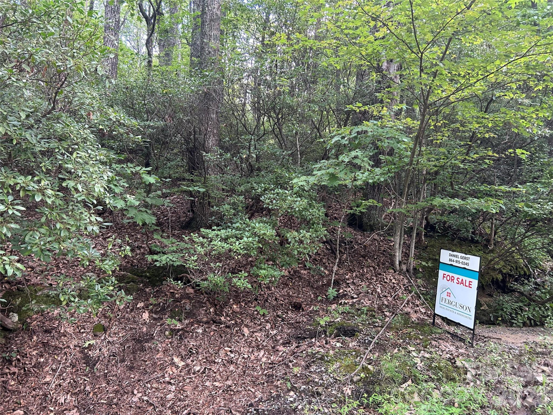 0 Pine Ridge Road #21 - Photo 8