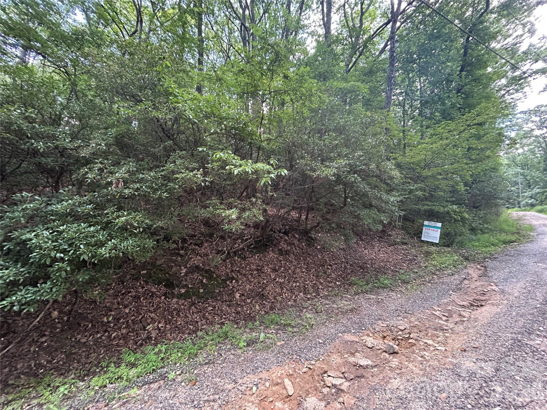 0 Pine Ridge Road #21 - Photo 9