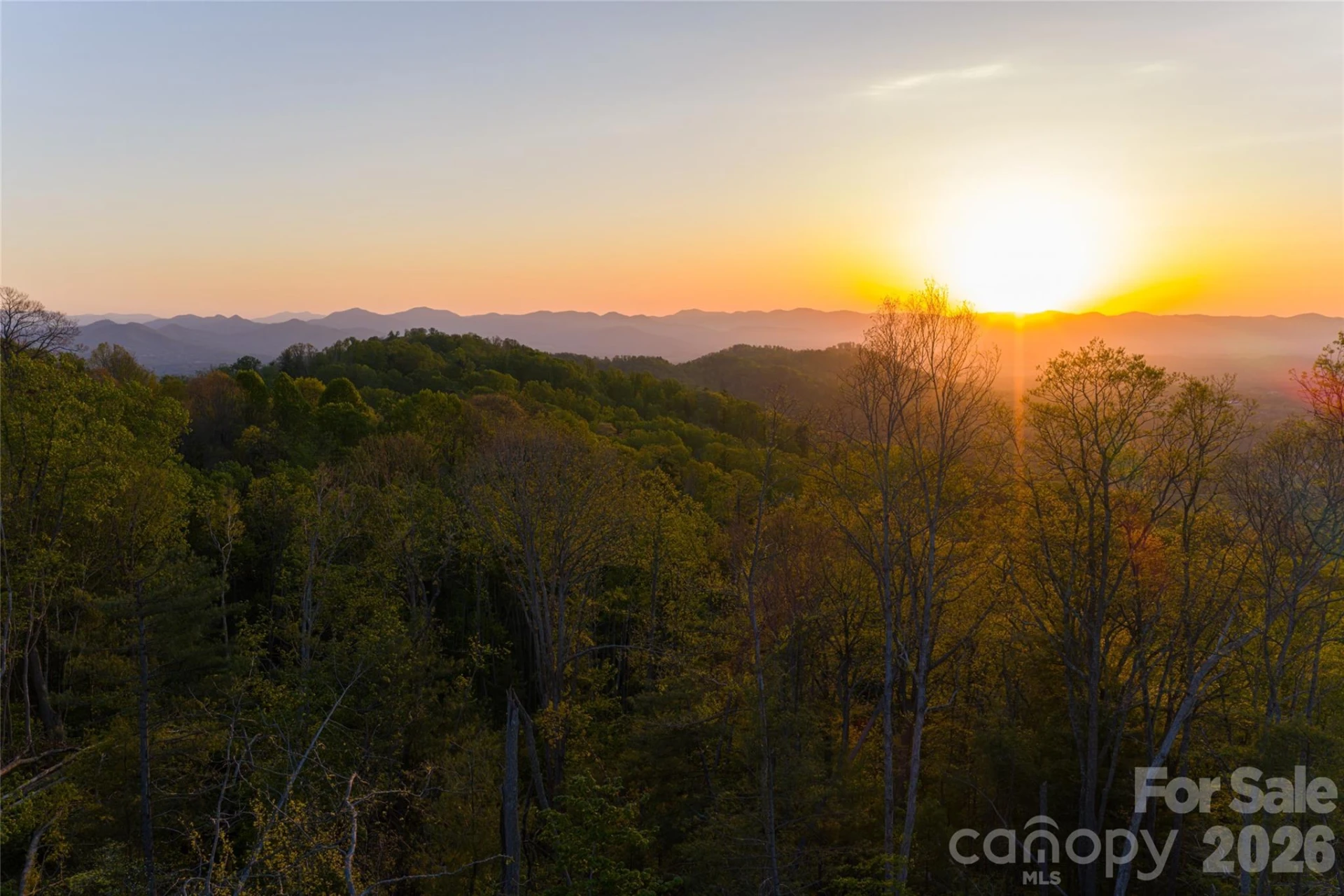 99999 Elk Mountain Scenic Highway #1 - Photo 23