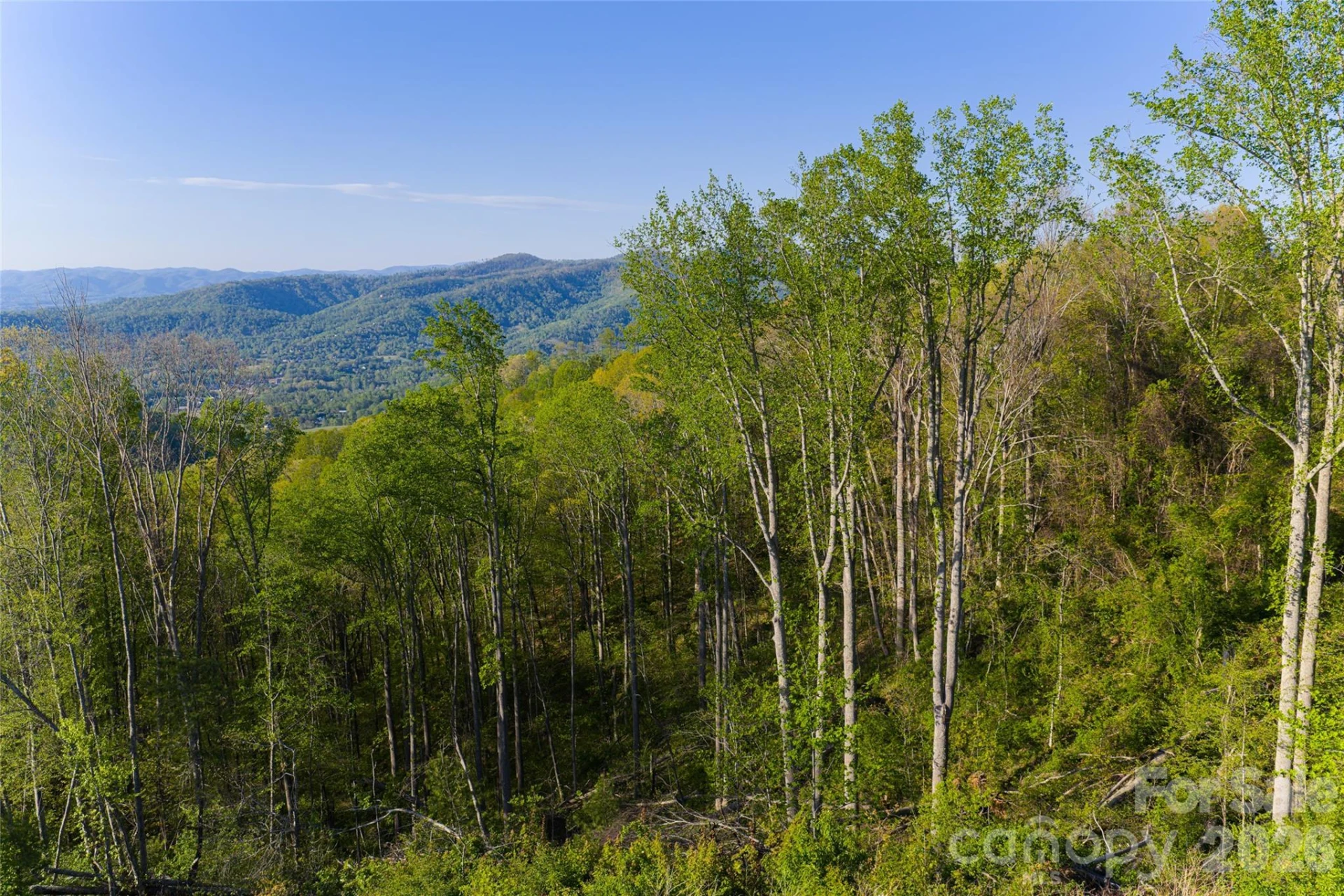 99999 Elk Mountain Scenic Highway #1 - Photo 33