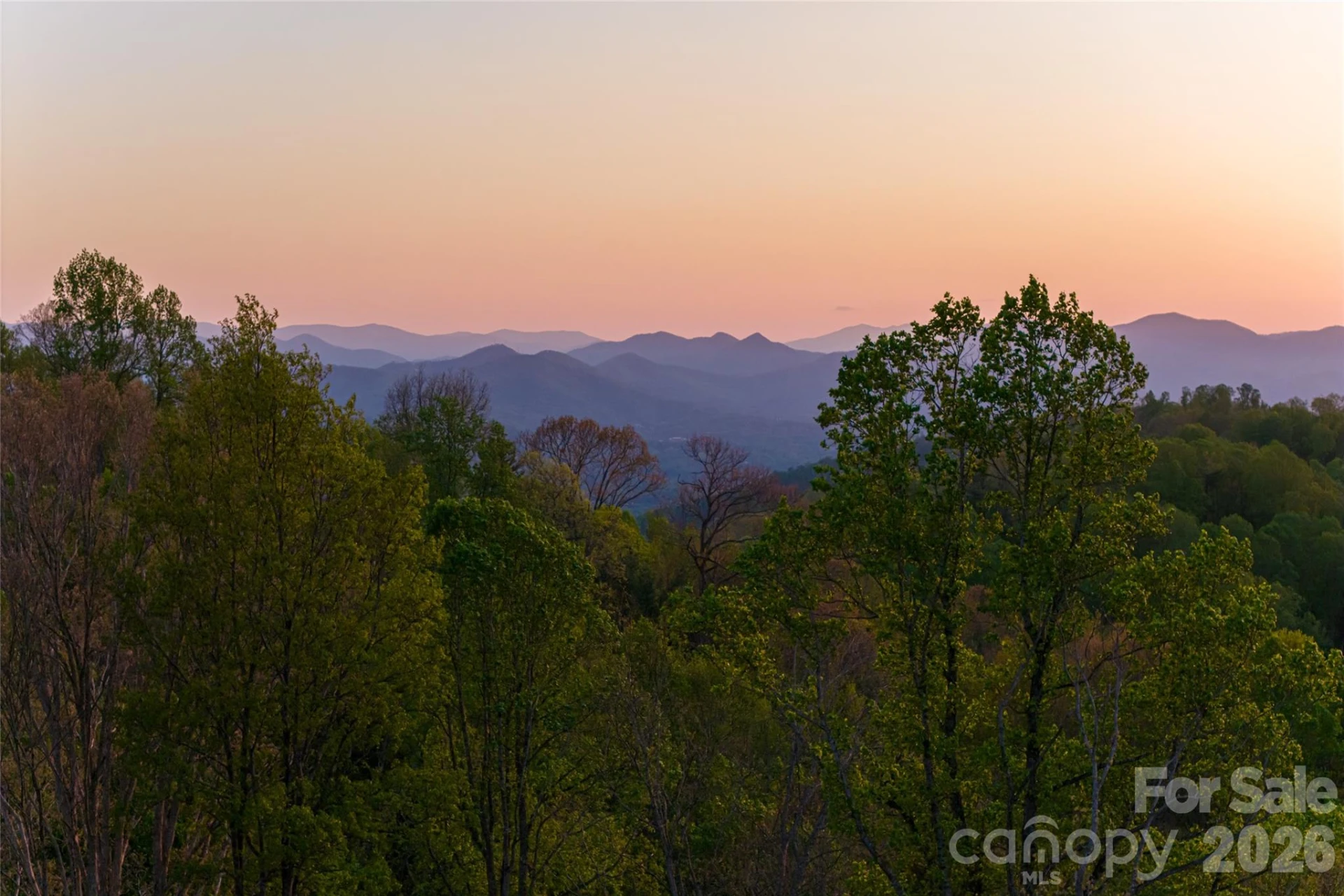 99999 Elk Mountain Scenic Highway #1 - Photo 10