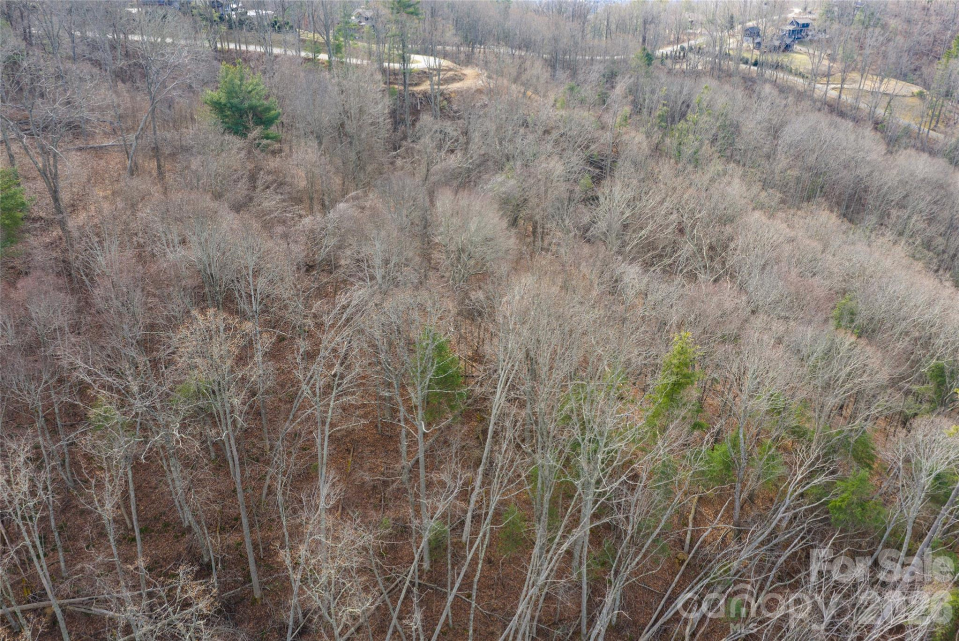 99999 Elk Mountain Scenic Highway #1 - Photo 8