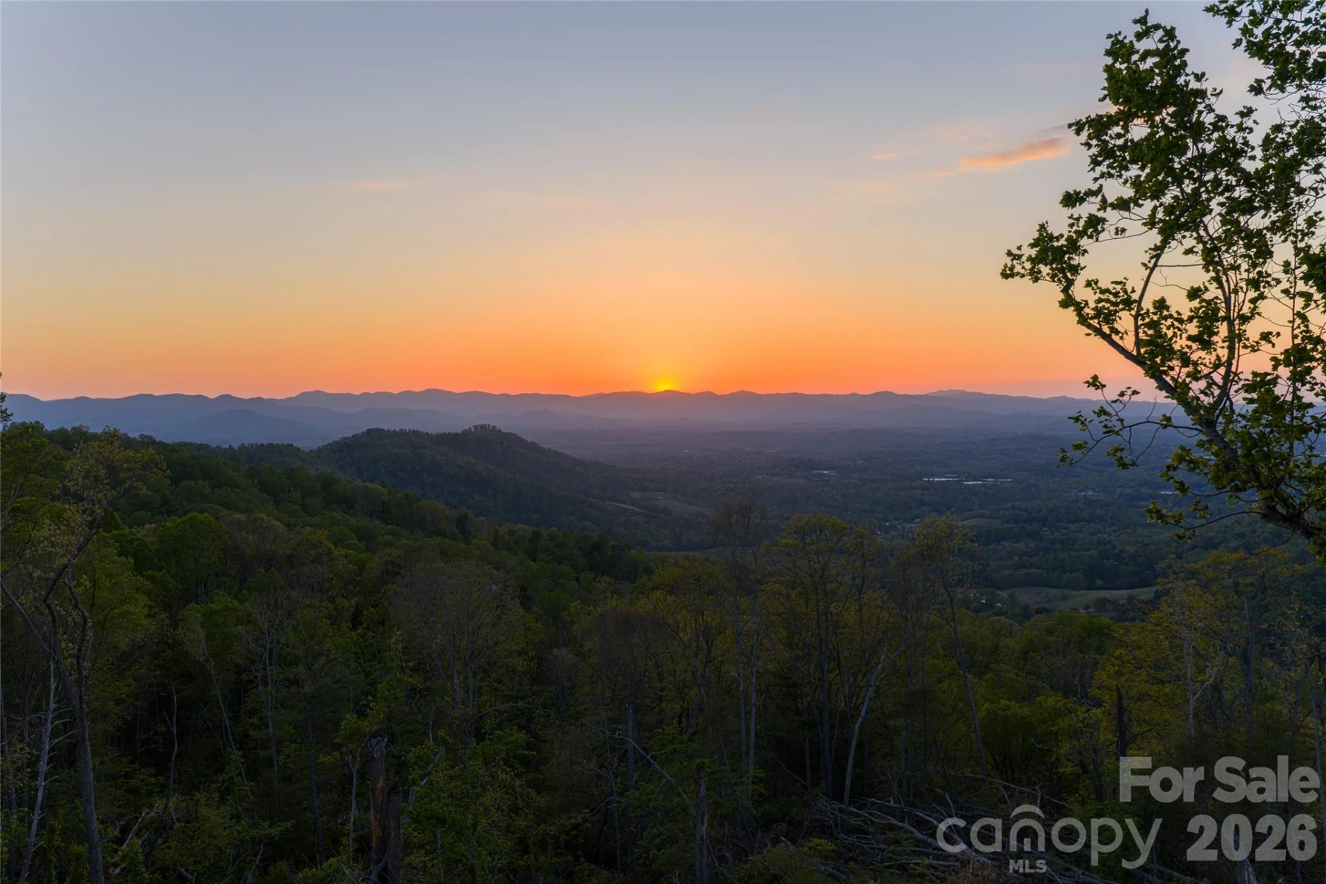 99999 Elk Mountain Scenic Highway #1 - Photo 18