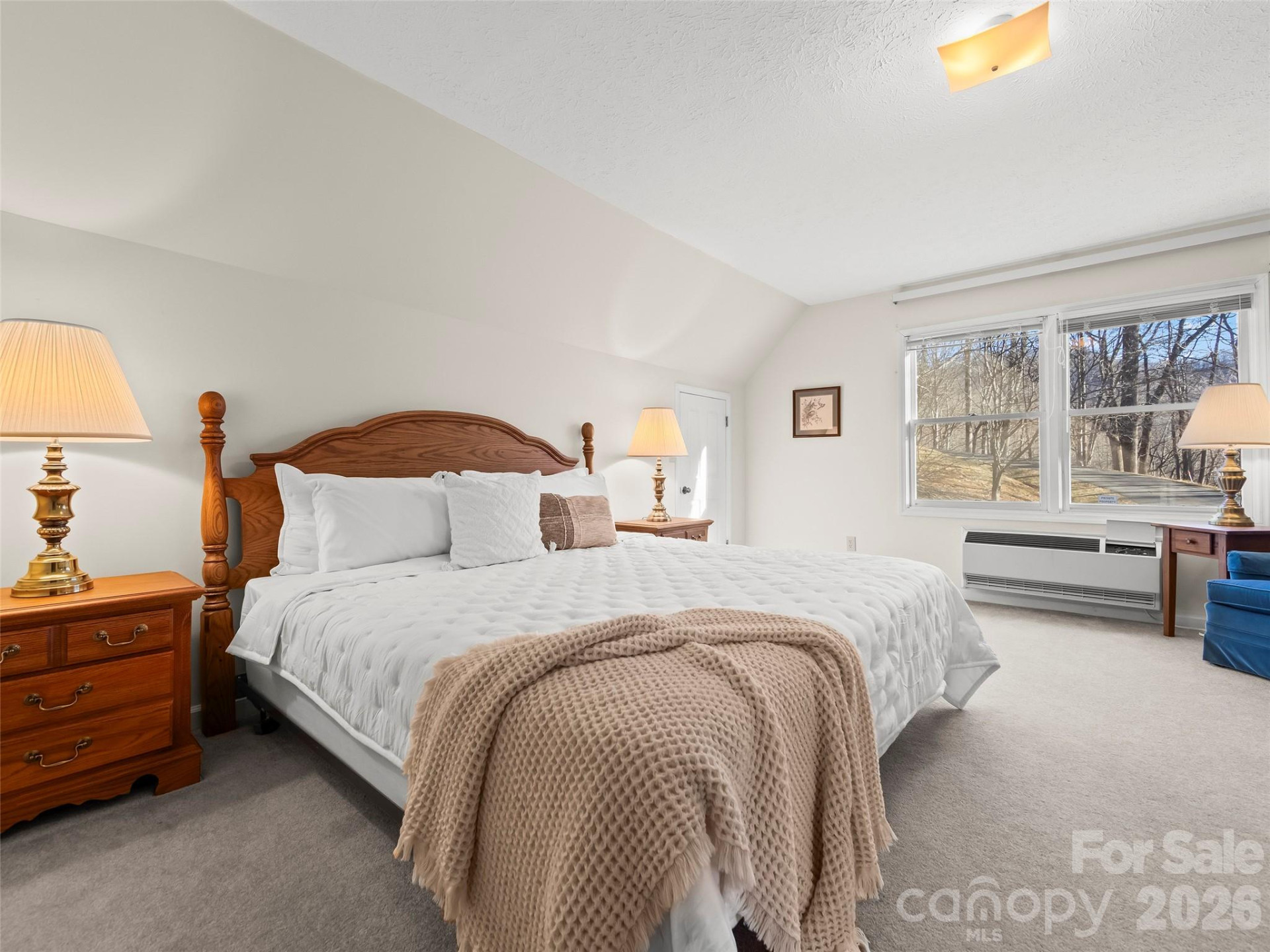 164 Bluebird Lane - Photo 10