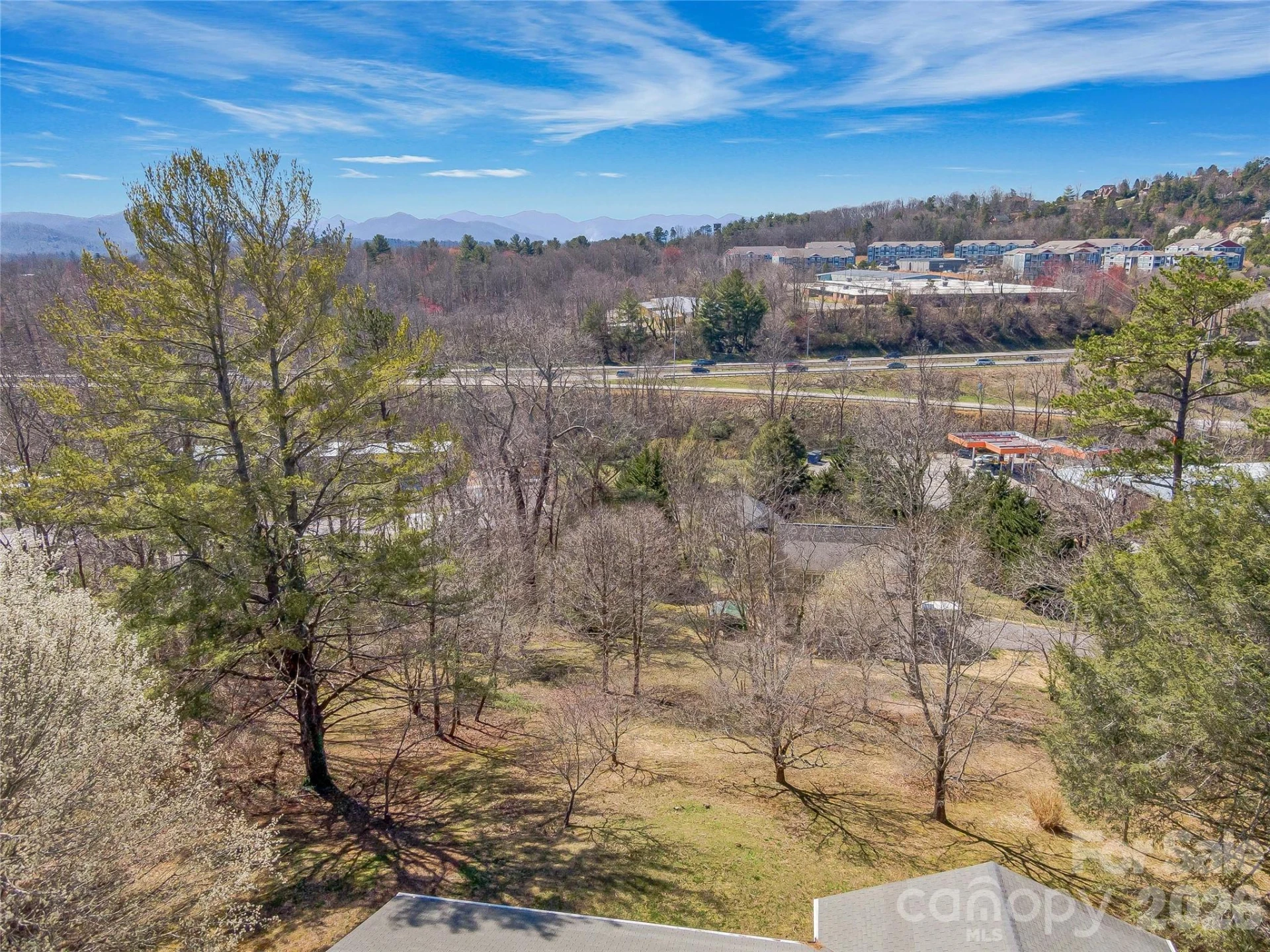 103 Weaverville Road - Photo 2