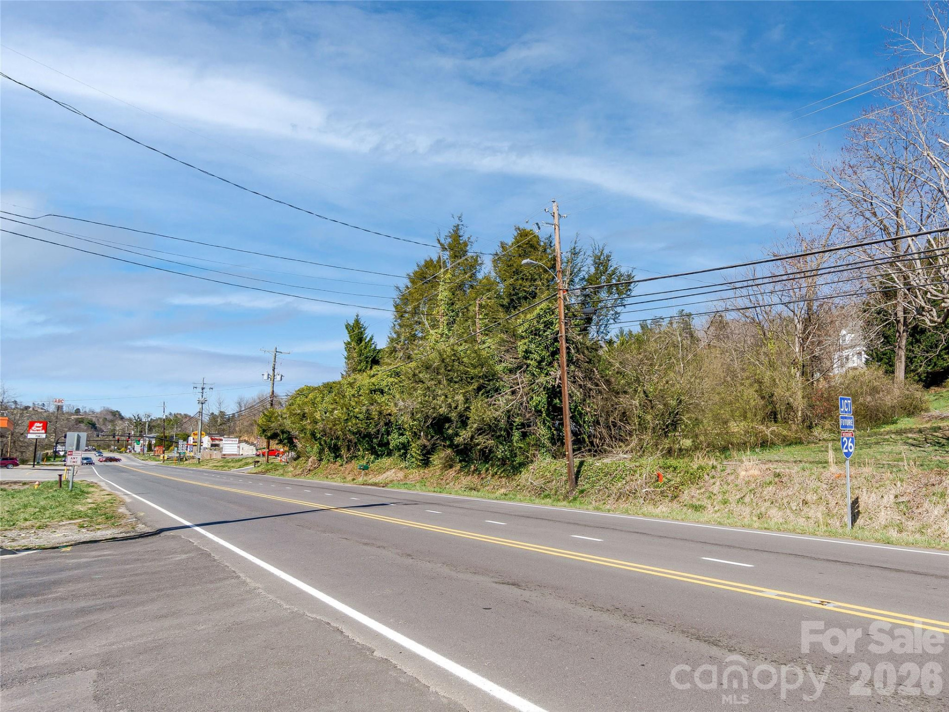 103 Weaverville Road - Photo 19