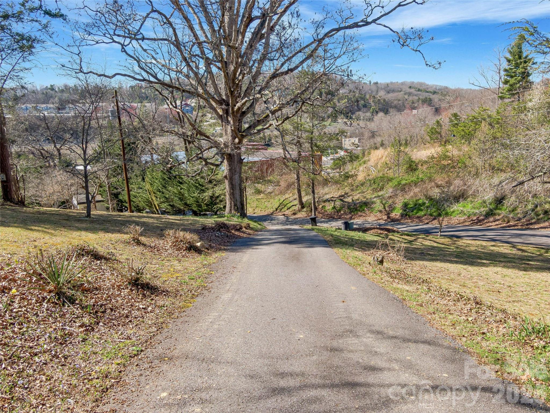 103 Weaverville Road - Photo 9