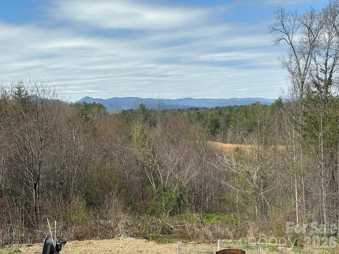 1735 Roy Caldwell Street - Photo 17