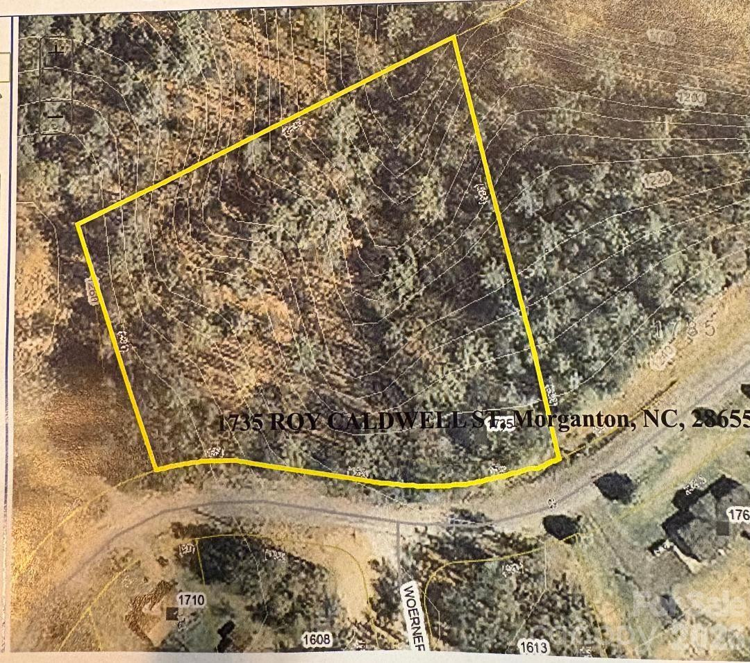 1735 Roy Caldwell Street - Photo 18