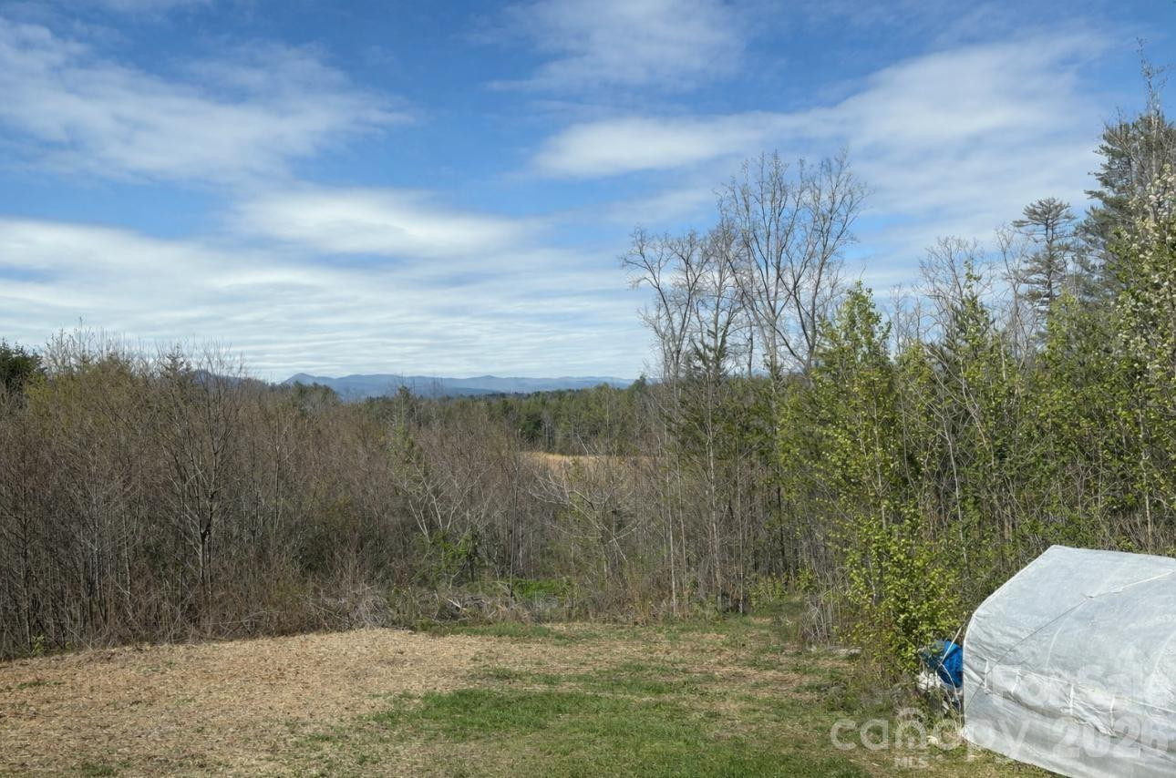 1735 Roy Caldwell Street - Photo 3