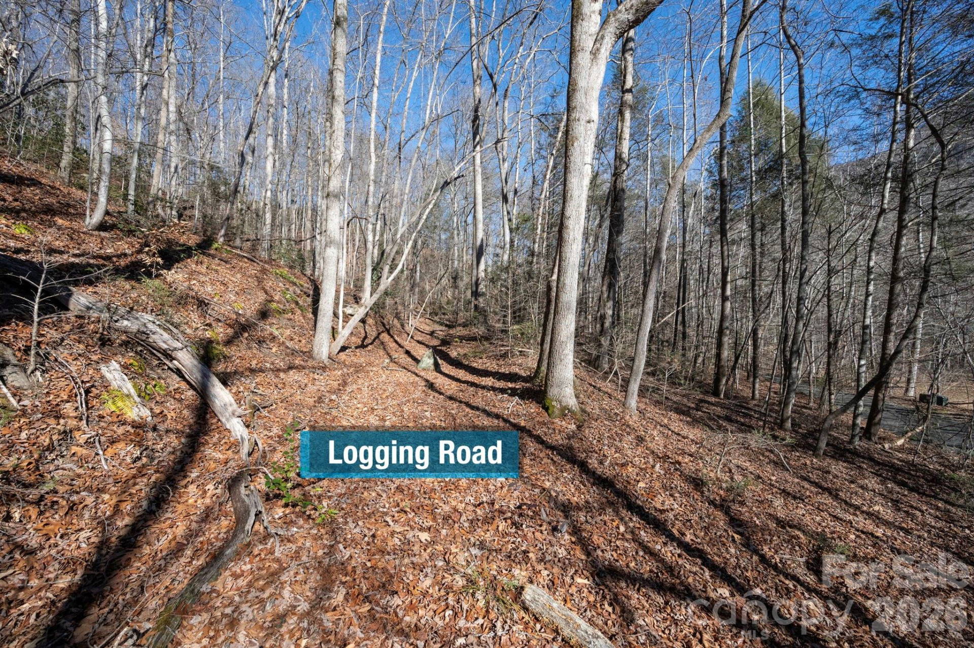 171 Deerfield Drive #15 - Photo 11