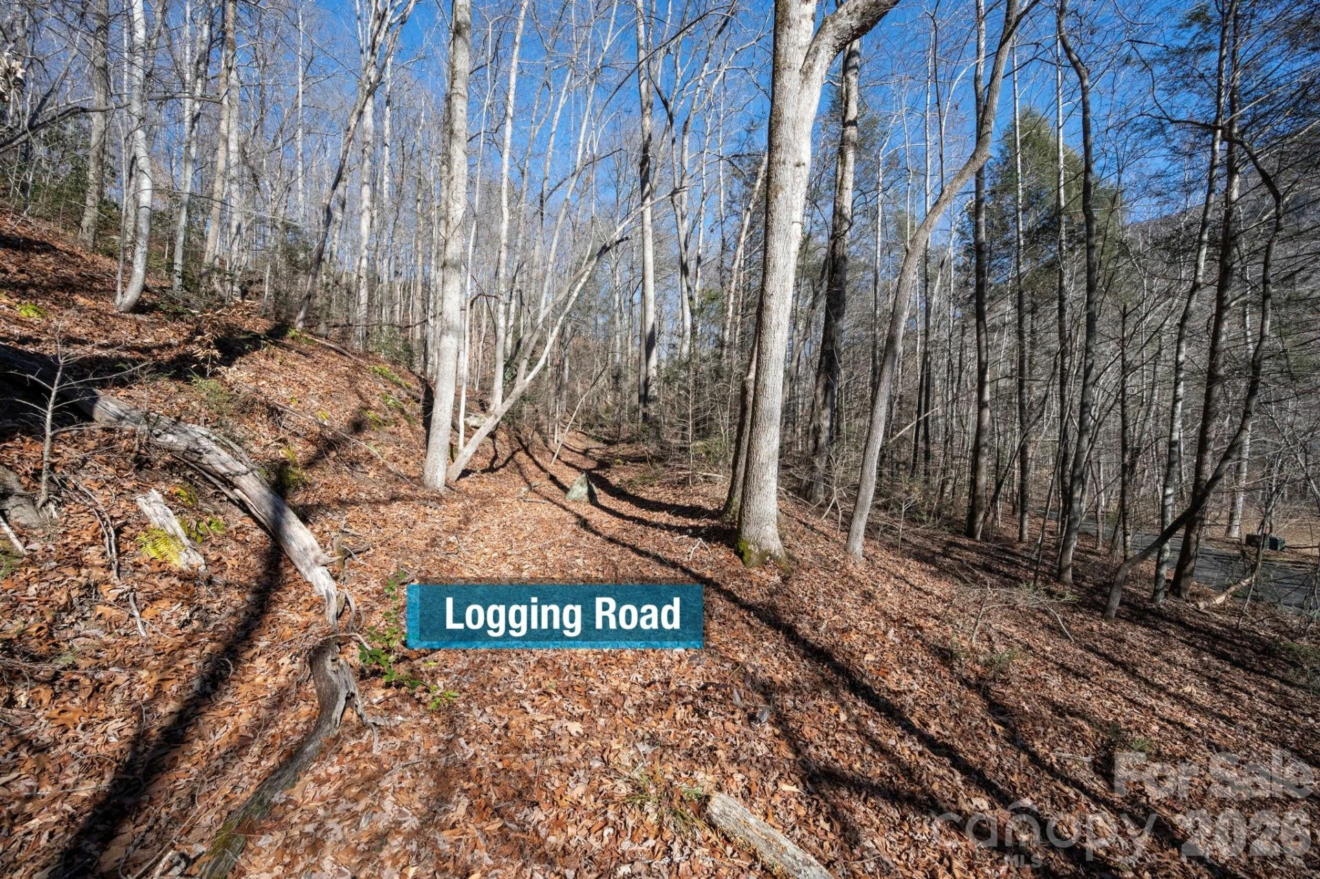 171 Deerfield Drive #15 - Photo 11