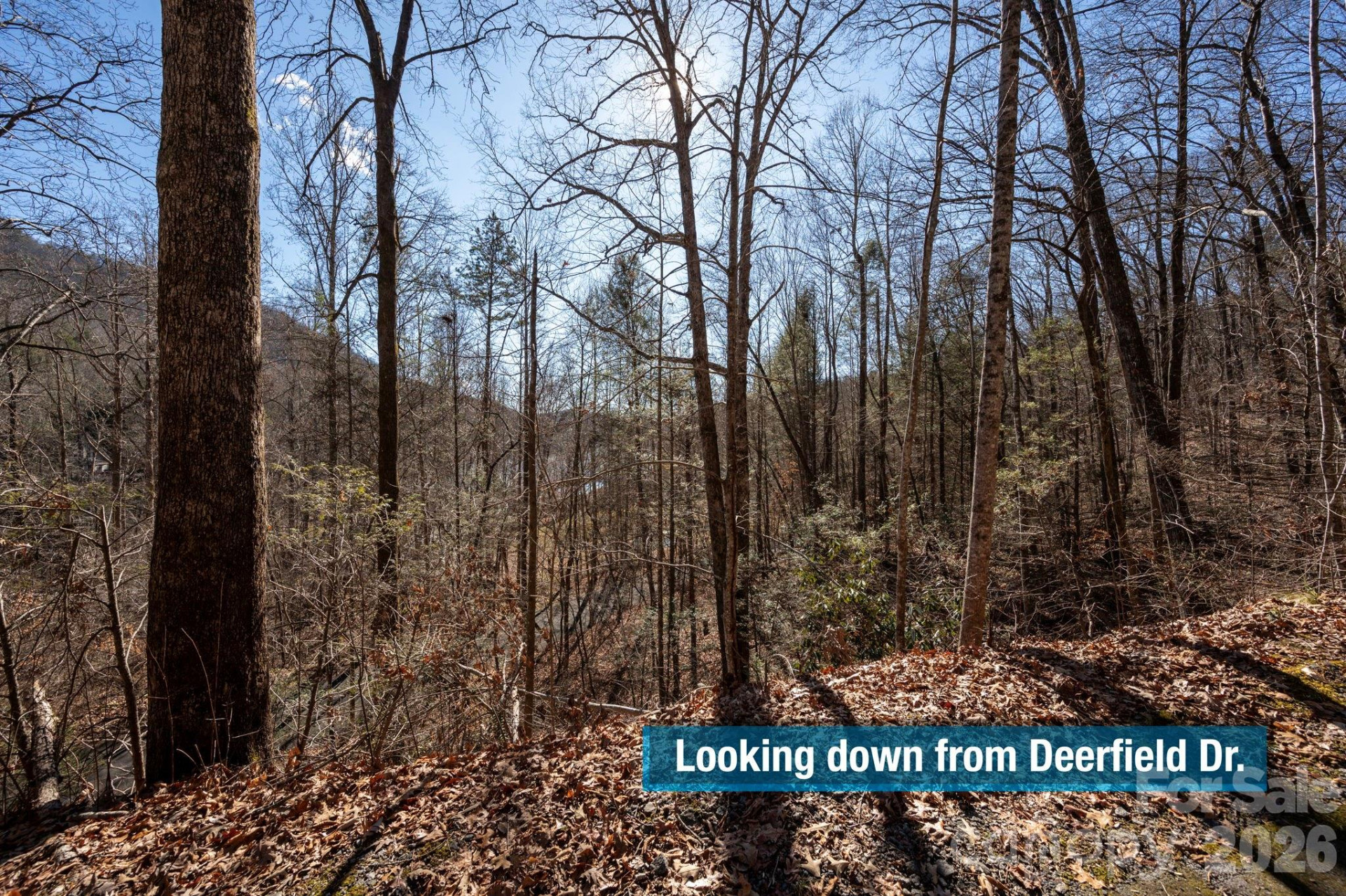 171 Deerfield Drive #15 - Photo 12