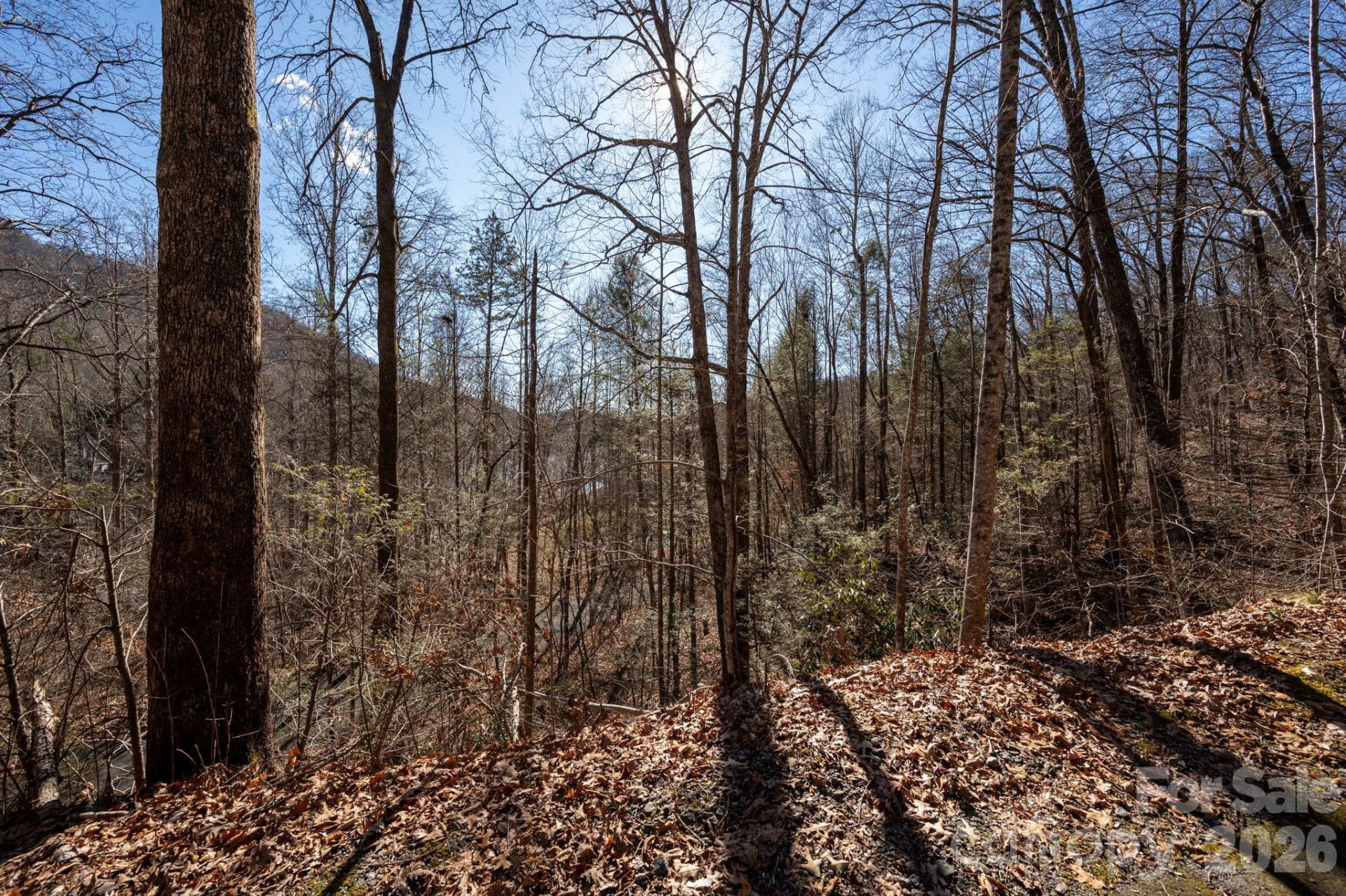 171 Deerfield Drive #15 - Photo 6