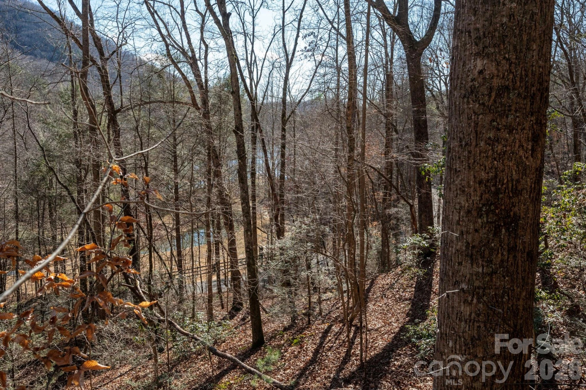 171 Deerfield Drive #15 - Photo 7