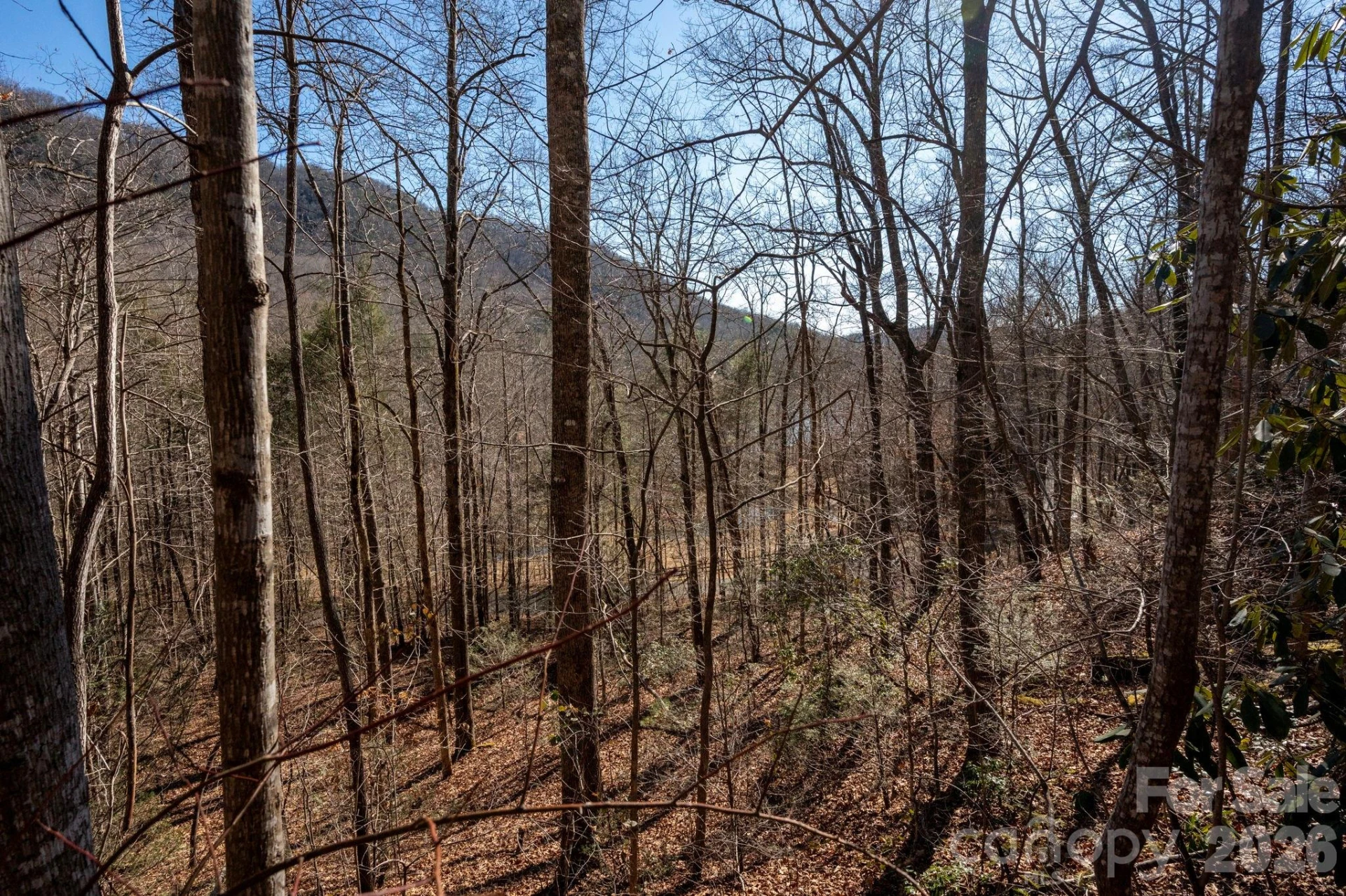 171 Deerfield Drive #15 - Photo 9