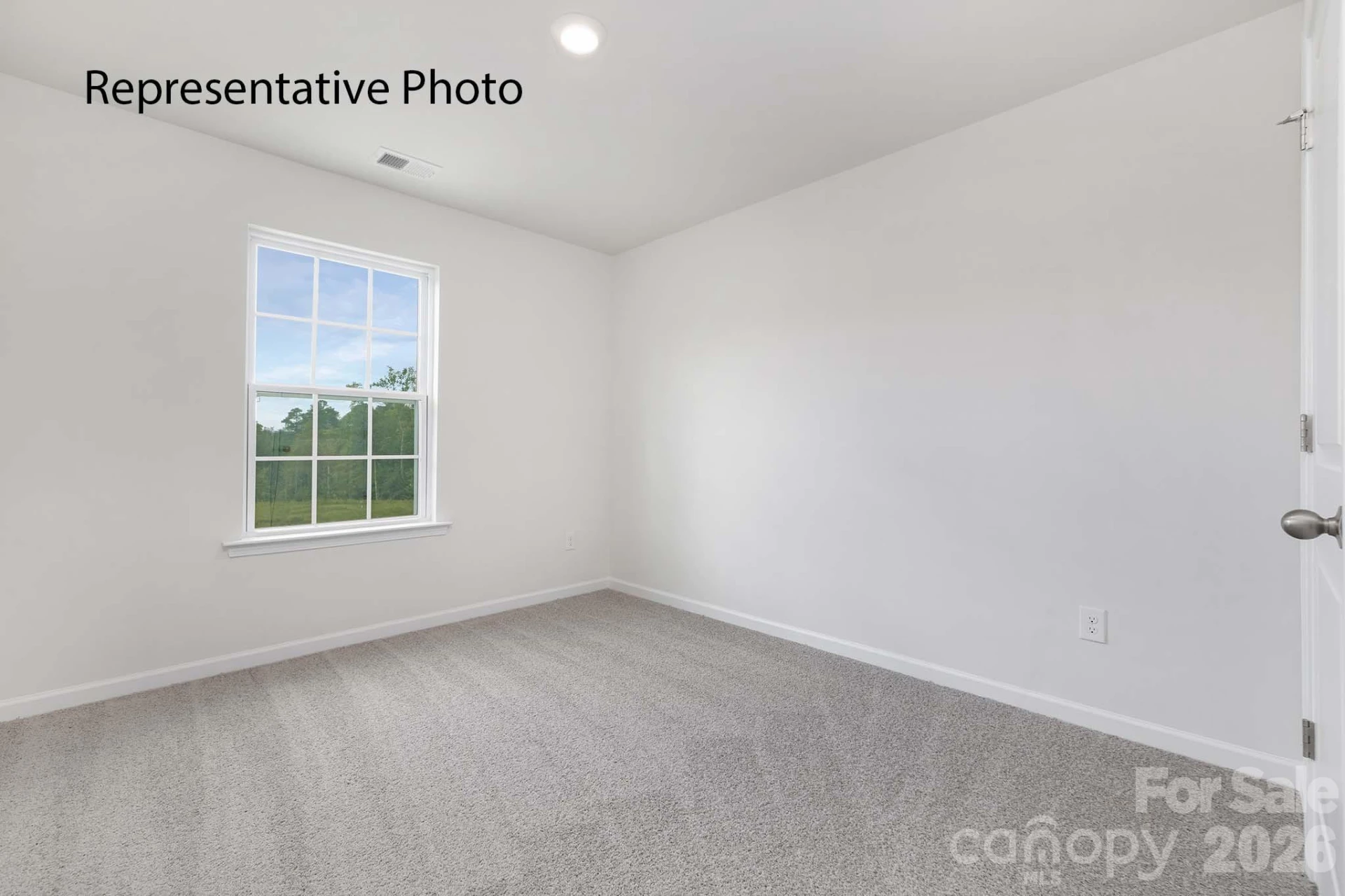 2800 Frances View Lane - Photo 18