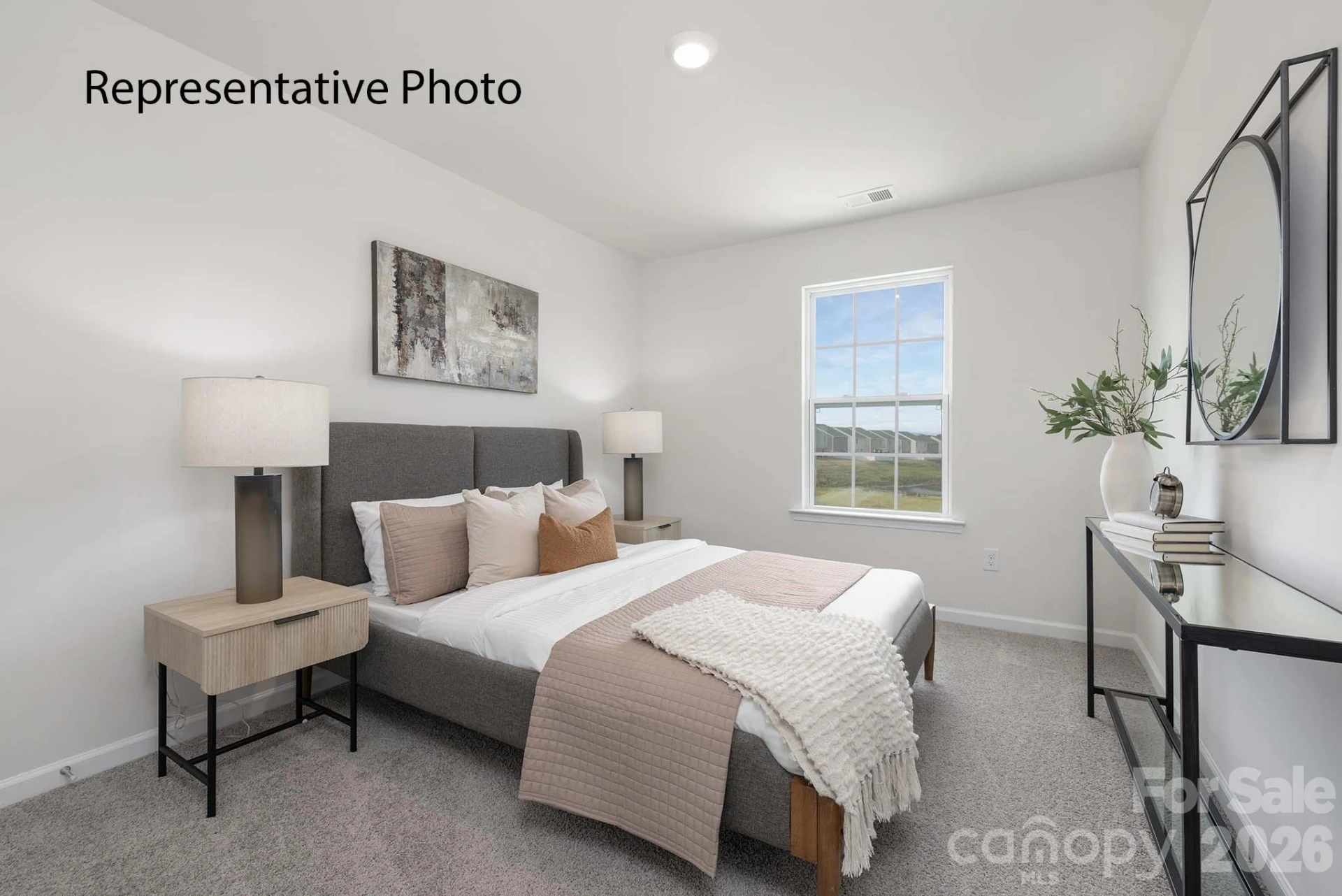 2800 Frances View Lane - Photo 6